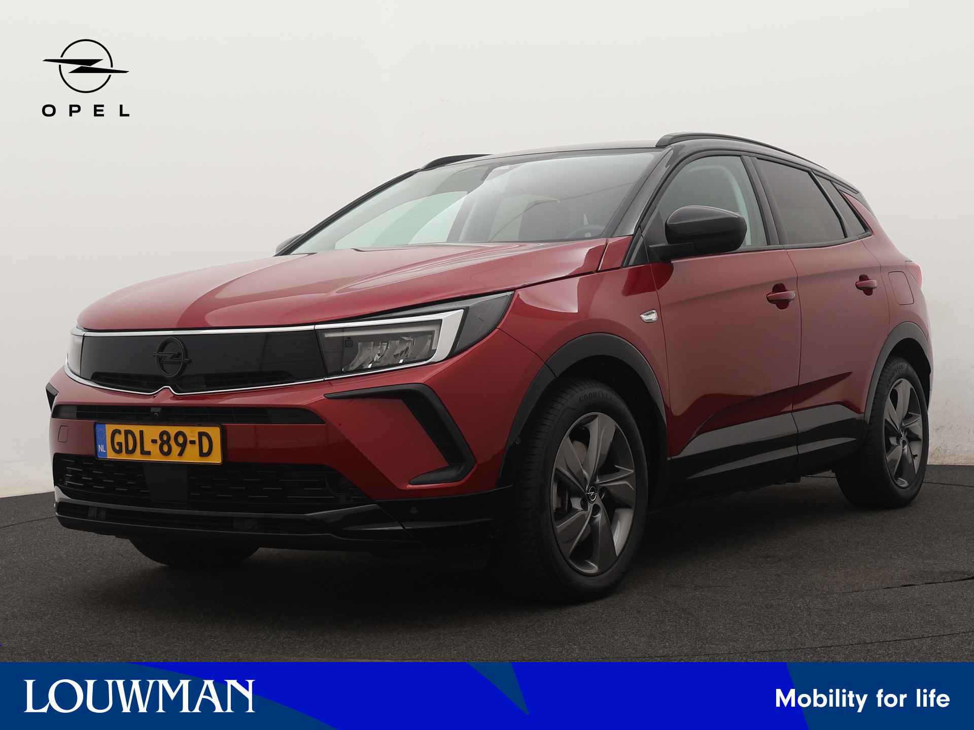 Opel Grandland X BOVAG 40-Puntencheck