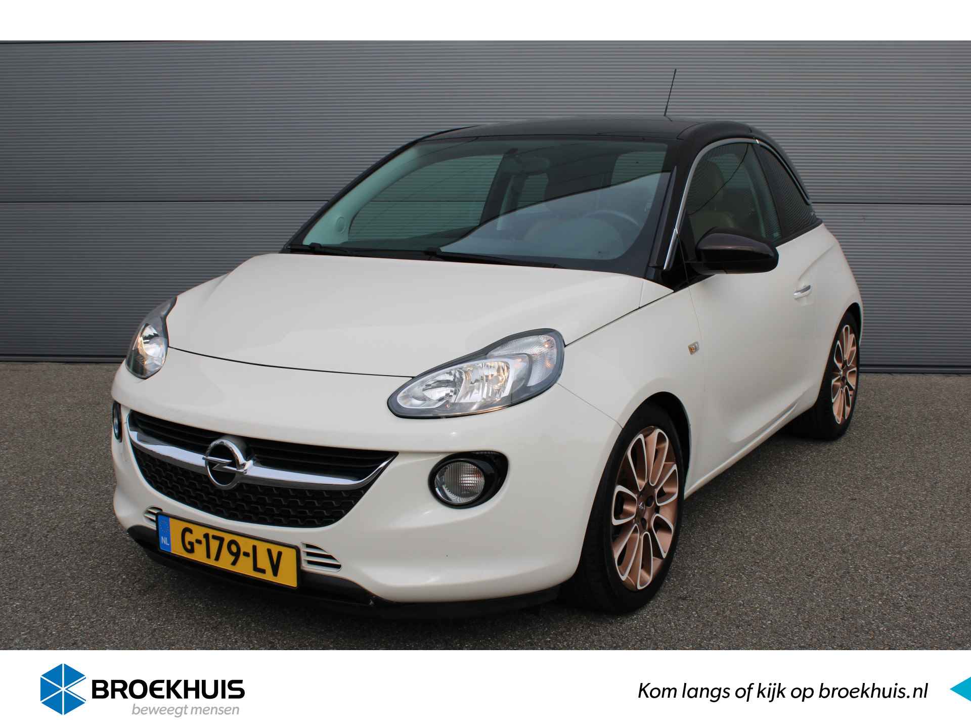 Opel Adam BOVAG 40-Puntencheck