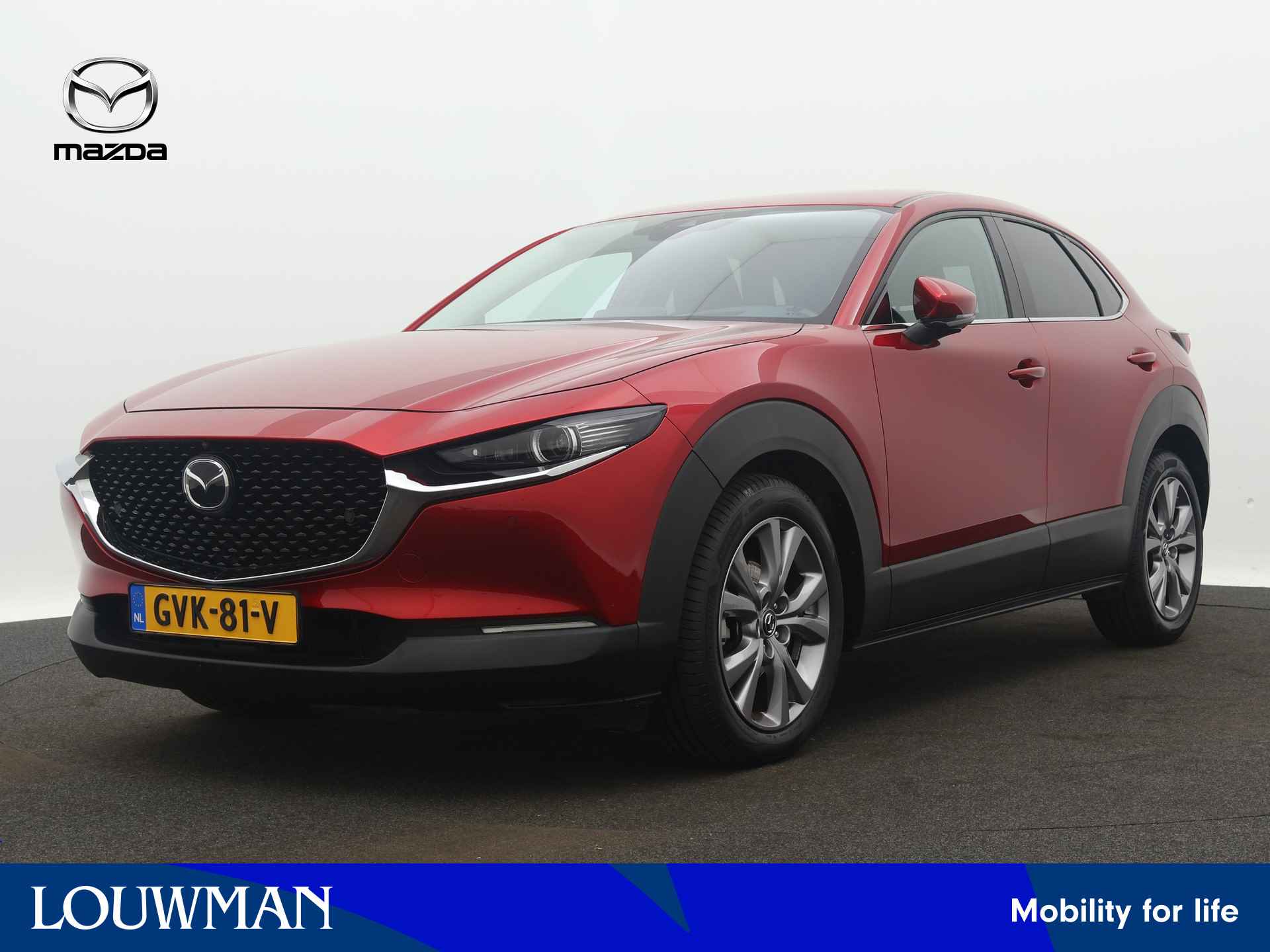 Mazda CX-30 BOVAG 40-Puntencheck