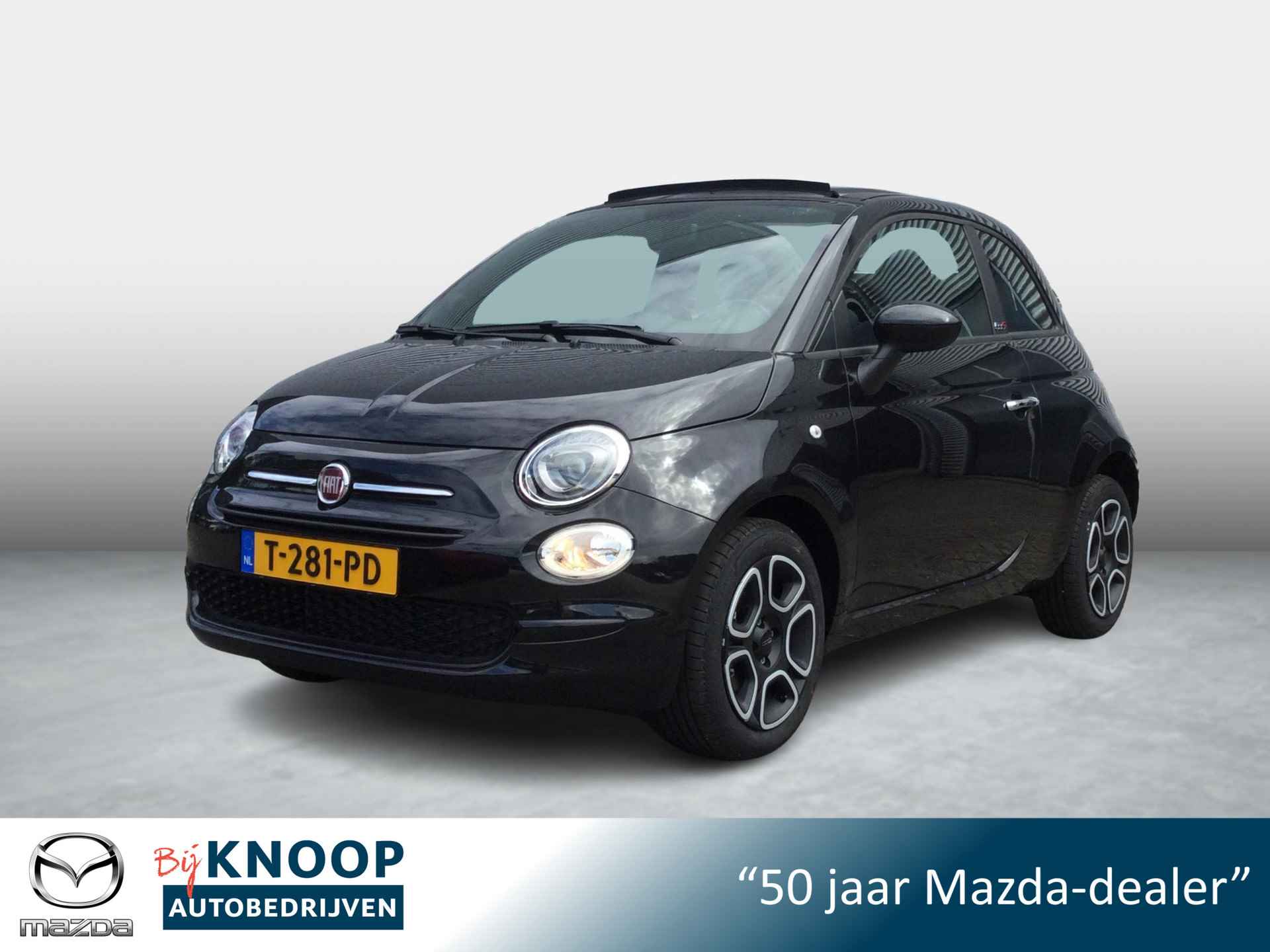 Fiat 500C BOVAG 40-Puntencheck