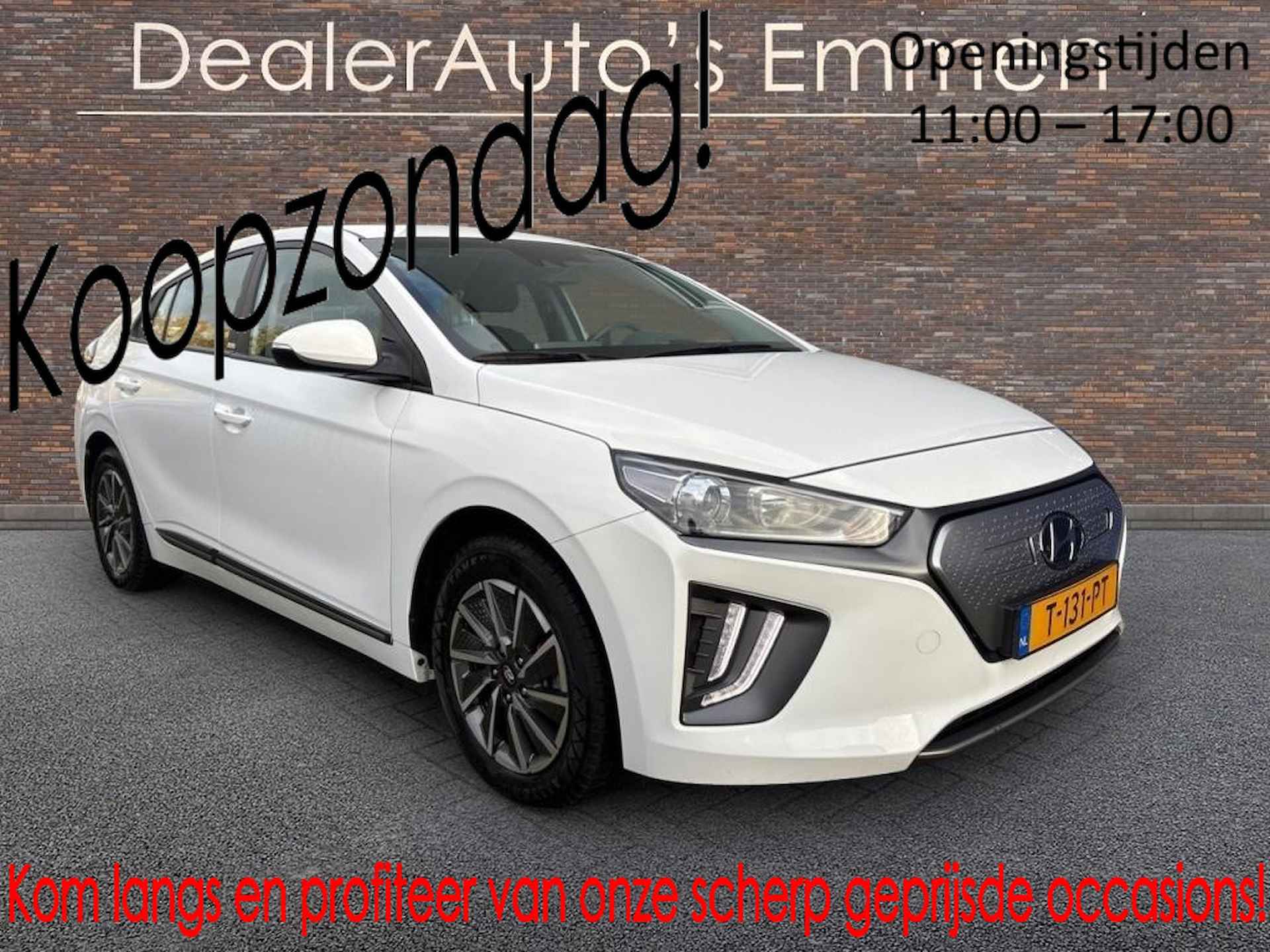 Hyundai Ioniq BOVAG 40-Puntencheck