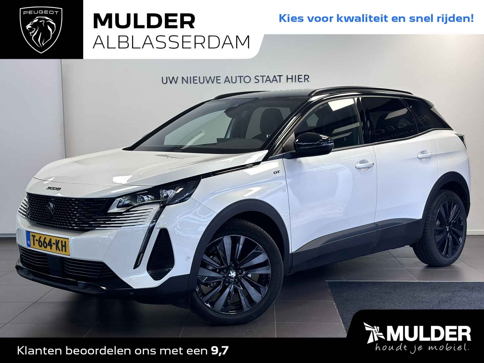 Peugeot 3008 BOVAG 40-Puntencheck