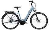 Kettler E-TRAVELLER GOLD 5 PLUS BELT F 400Wh Lage instap Arrow Grey Shiny 50cm 2023