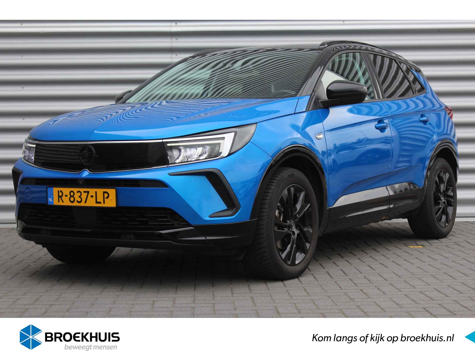 Opel Grandland X BOVAG 40-Puntencheck