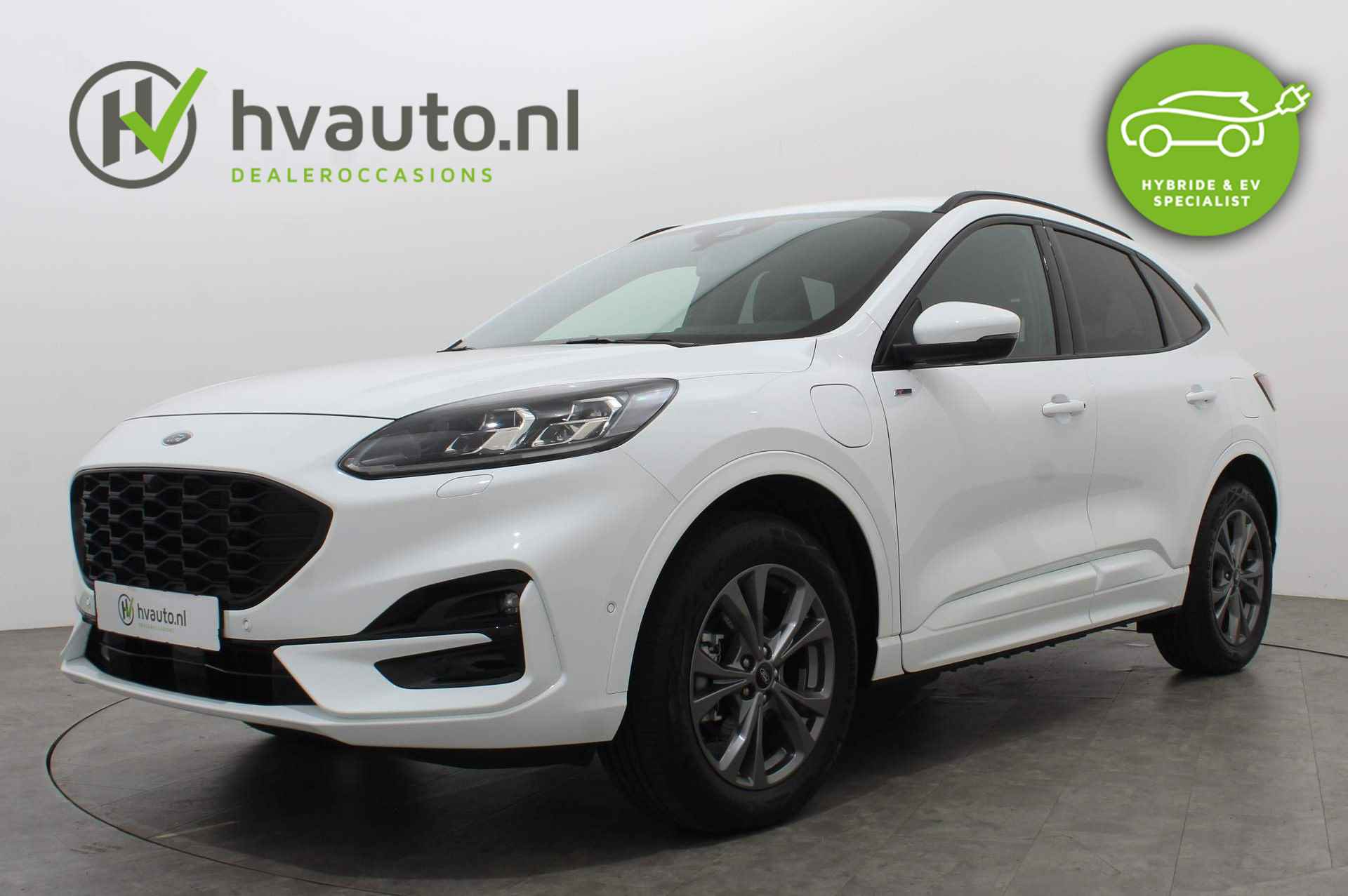 Ford Kuga BOVAG 40-Puntencheck