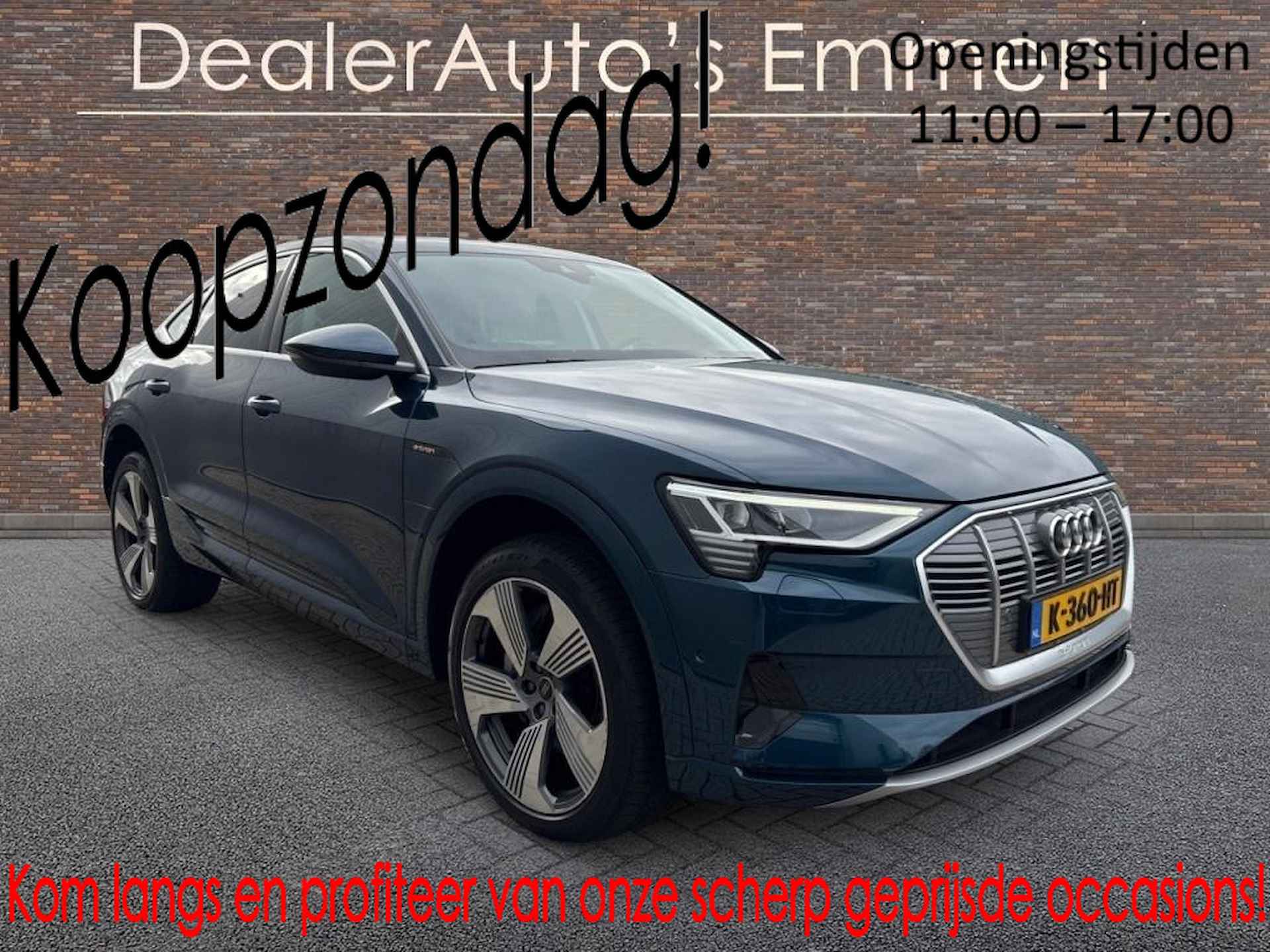 Audi e-tron BOVAG 40-Puntencheck