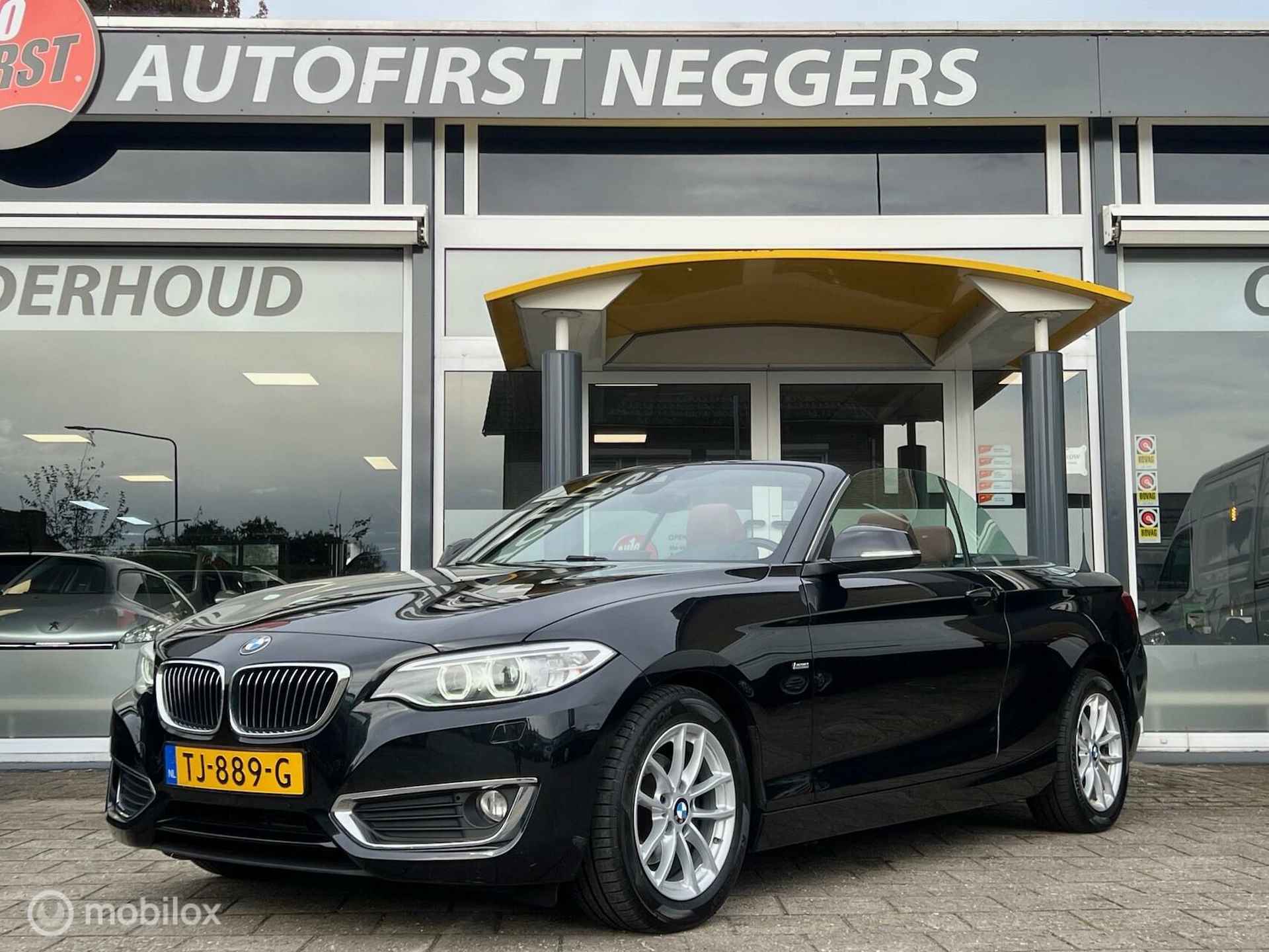 BMW 2-serie Cabrio 218d Luxury Line - 9/17