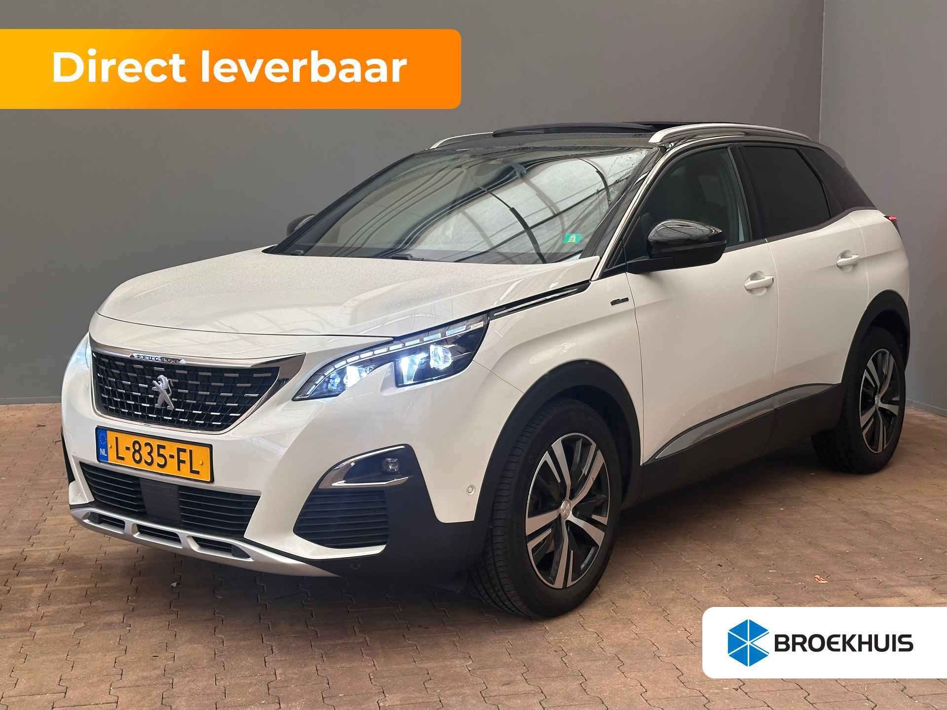 Peugeot 3008 BOVAG 40-Puntencheck