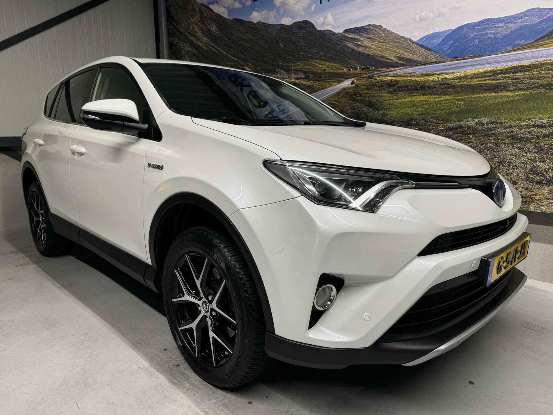 Toyota RAV4 2.5 Hybrid AWD Executive / 360 °/ Trekh. - 5/43