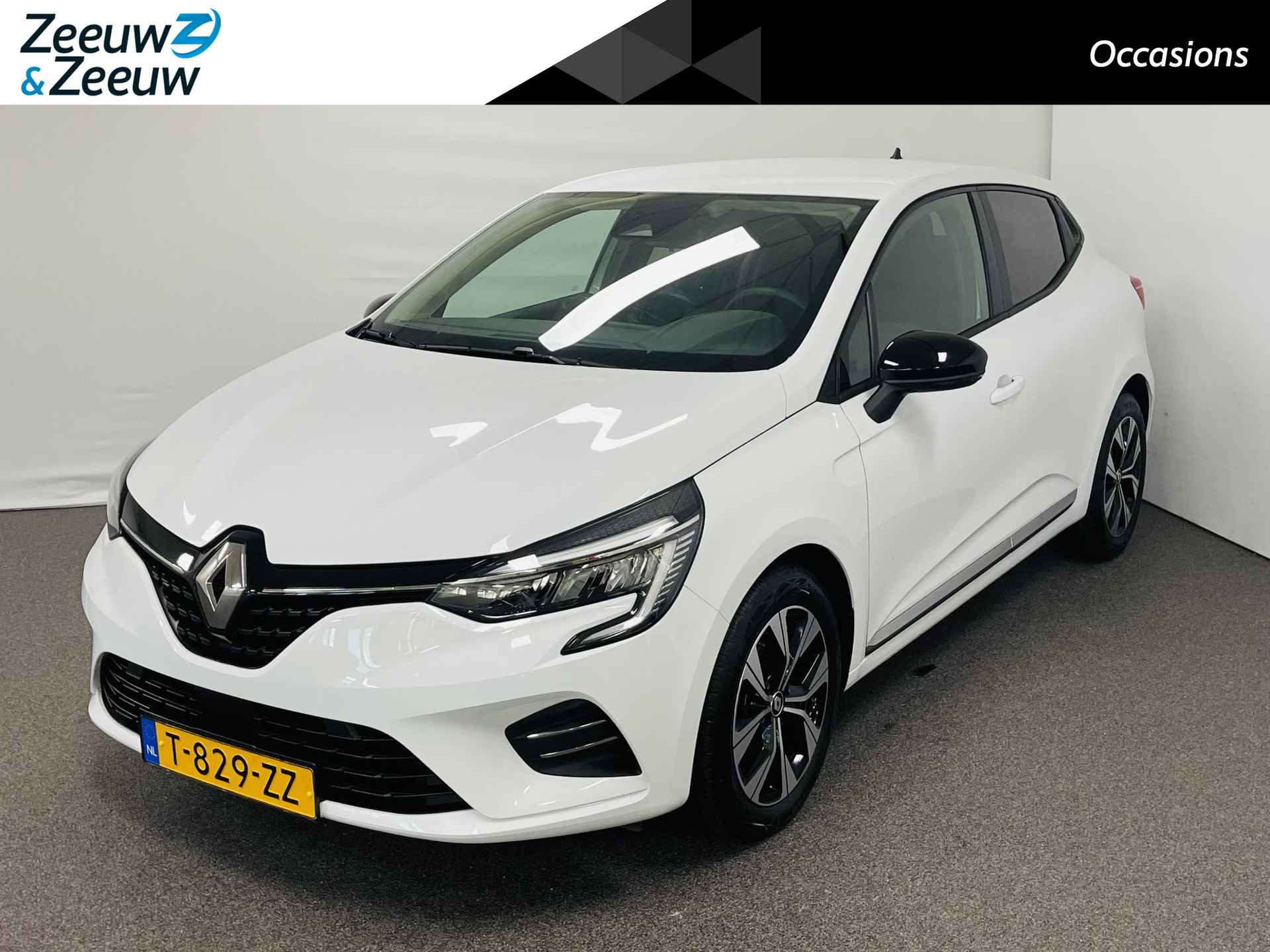 Renault Clio BOVAG 40-Puntencheck