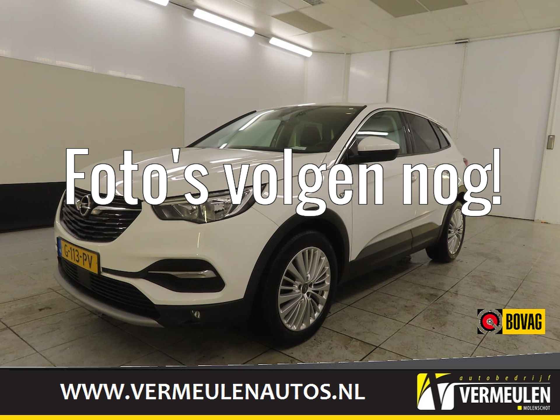 Opel Grandland X BOVAG 40-Puntencheck