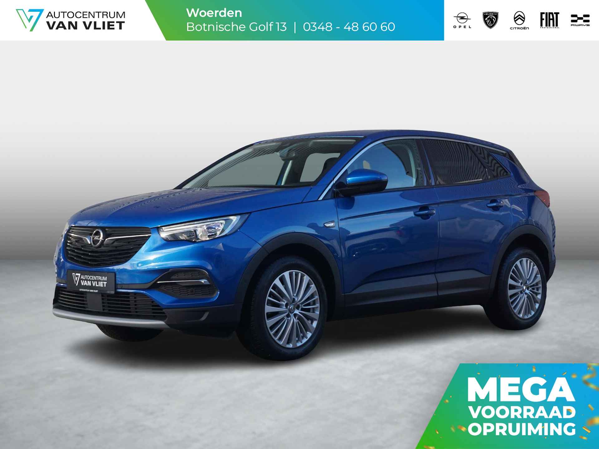 Opel Grandland X BOVAG 40-Puntencheck