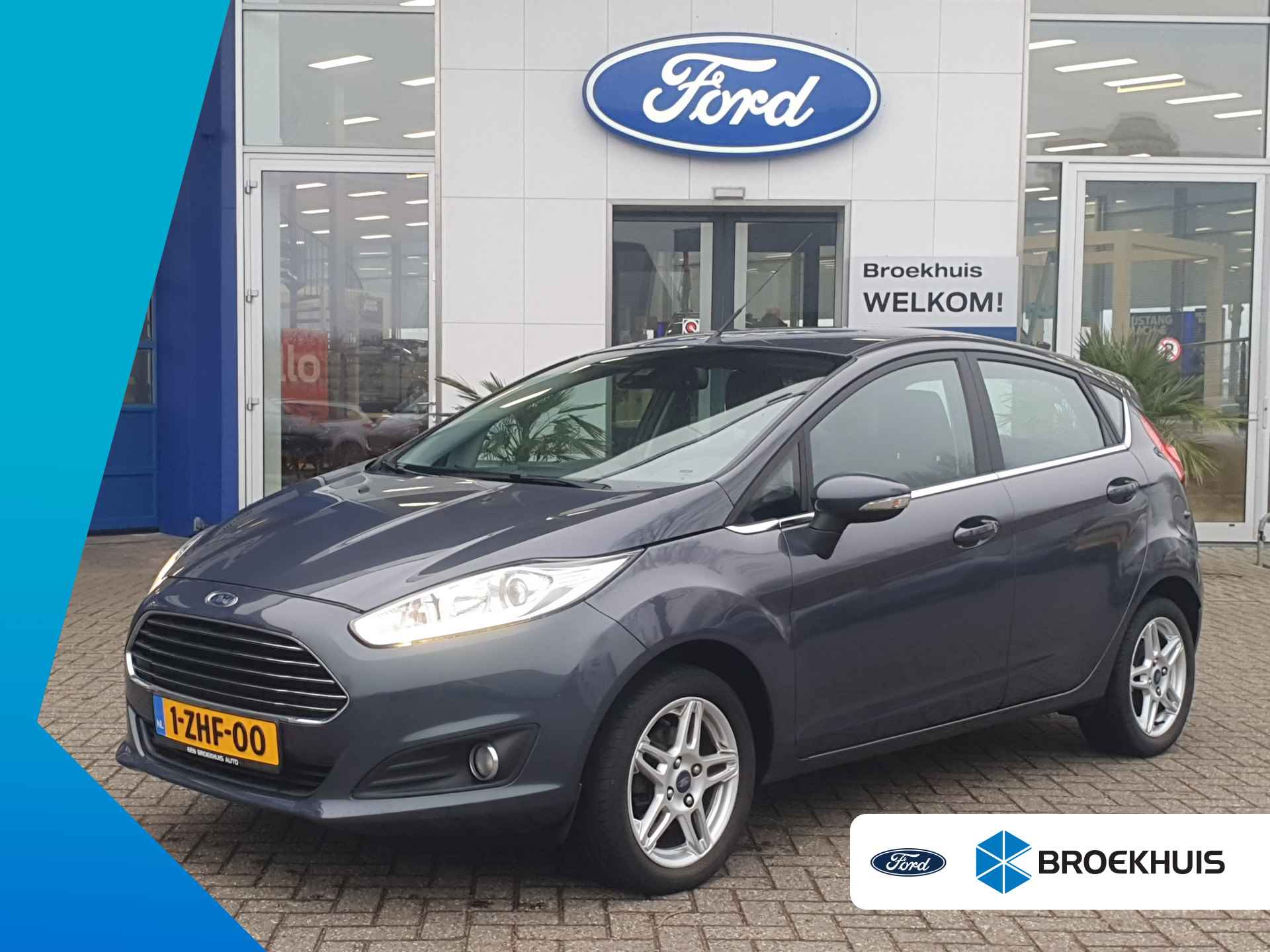 Ford Fiesta BOVAG 40-Puntencheck