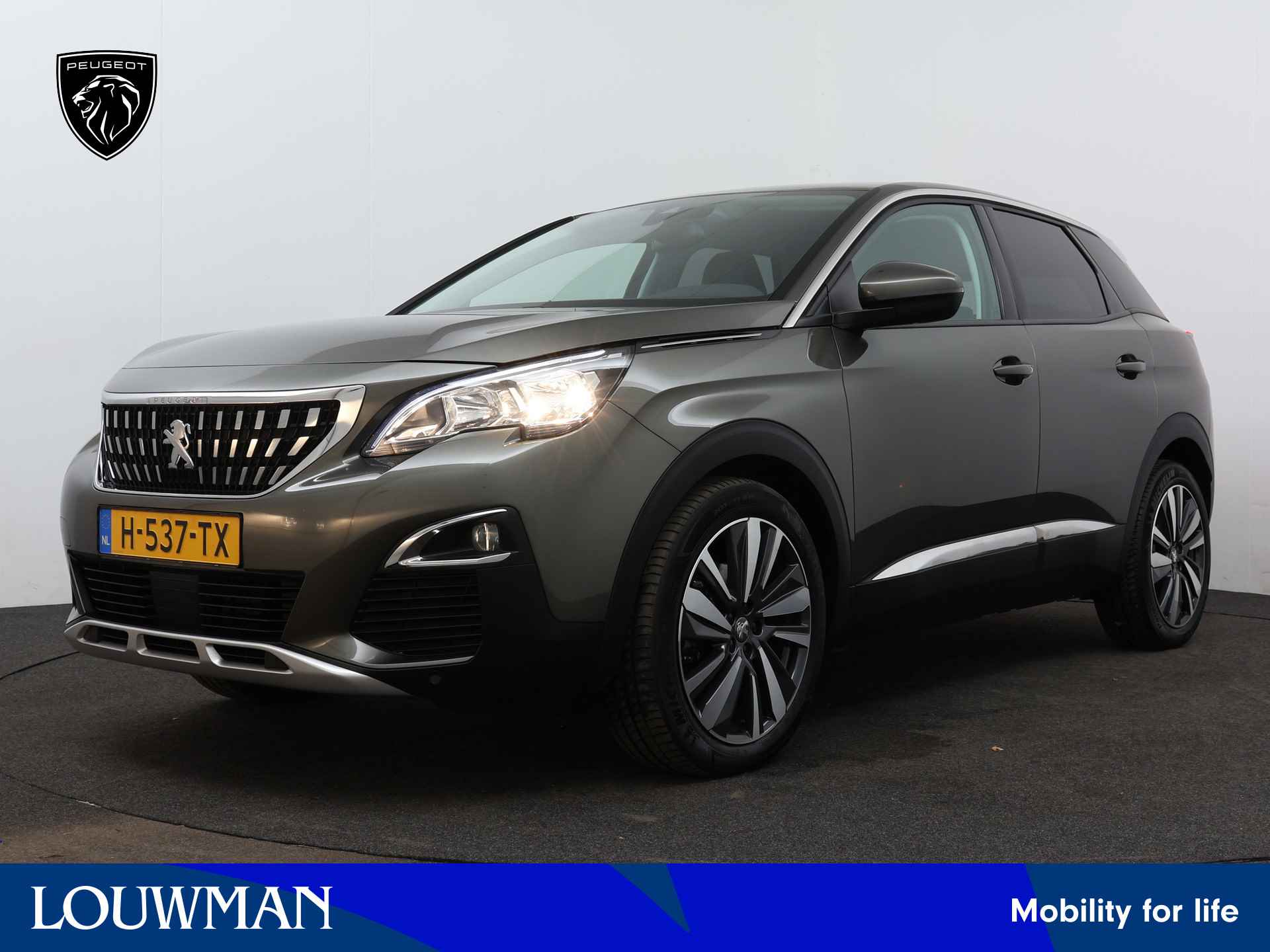 Peugeot 3008 BOVAG 40-Puntencheck