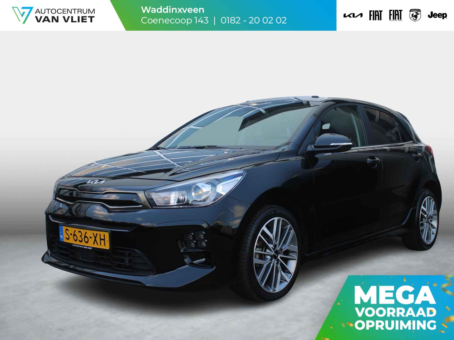 Kia Rio BOVAG 40-Puntencheck