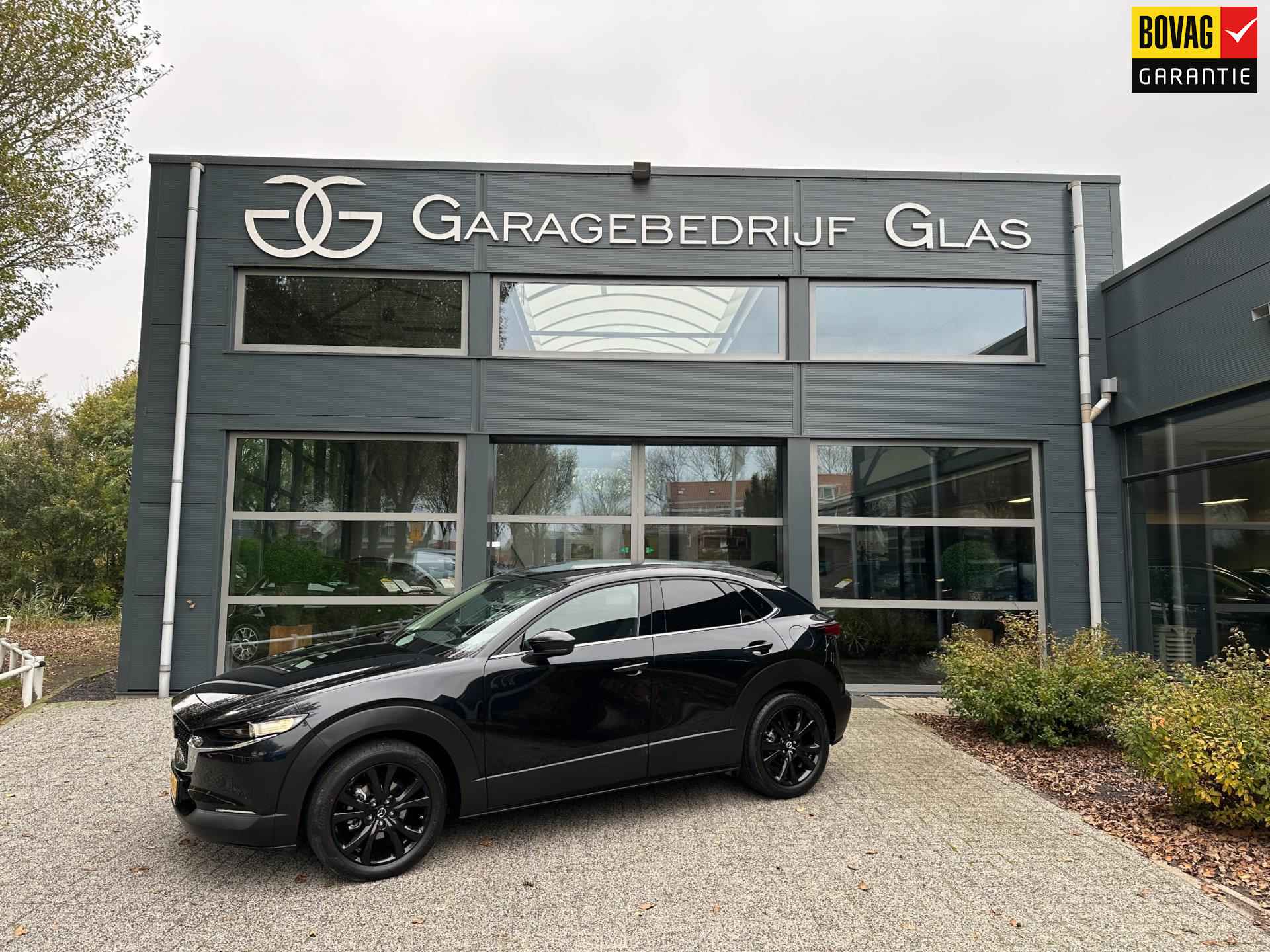 Mazda CX-30 BOVAG 40-Puntencheck