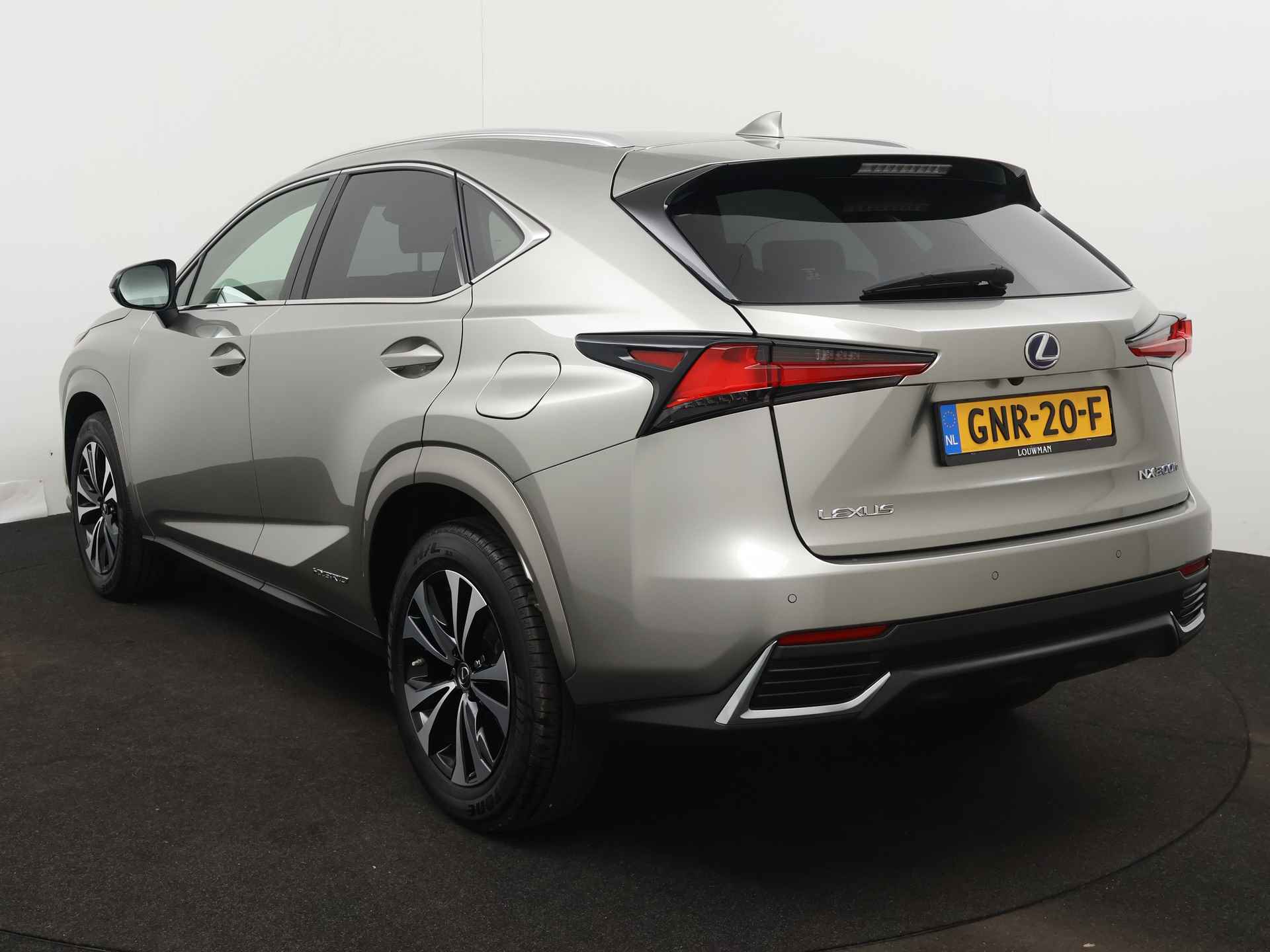 Lexus NX 300h AWD Luxury Edition Limited | Navigatie | Elektrische Achterklep | Stoelverwarming | - 17/47