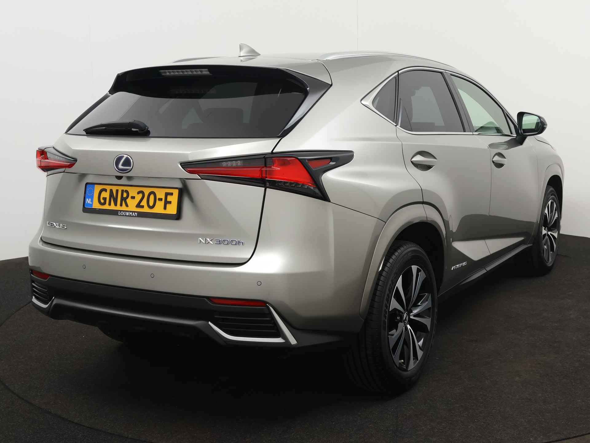 Lexus NX 300h AWD Luxury Edition Limited | Navigatie | Elektrische Achterklep | Stoelverwarming | - 18/47