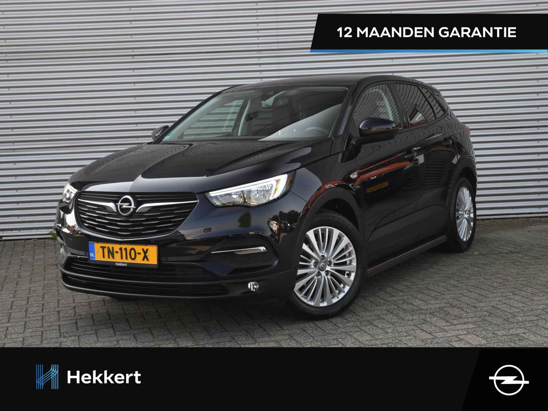 Opel Grandland X BOVAG 40-Puntencheck