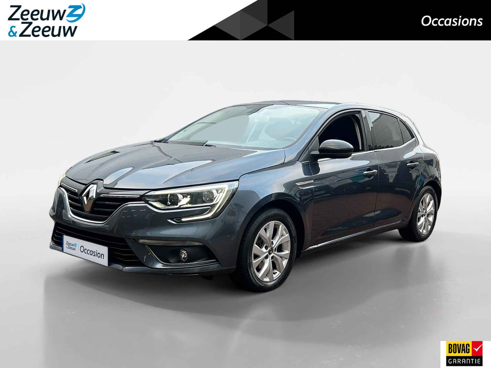 Renault Megane BOVAG 40-Puntencheck