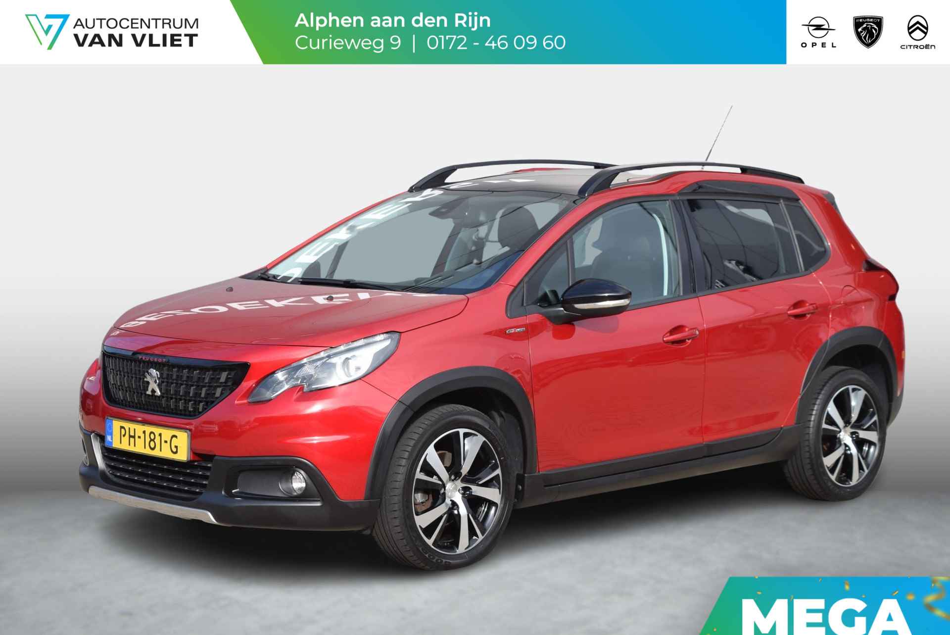 Peugeot 2008 BOVAG 40-Puntencheck