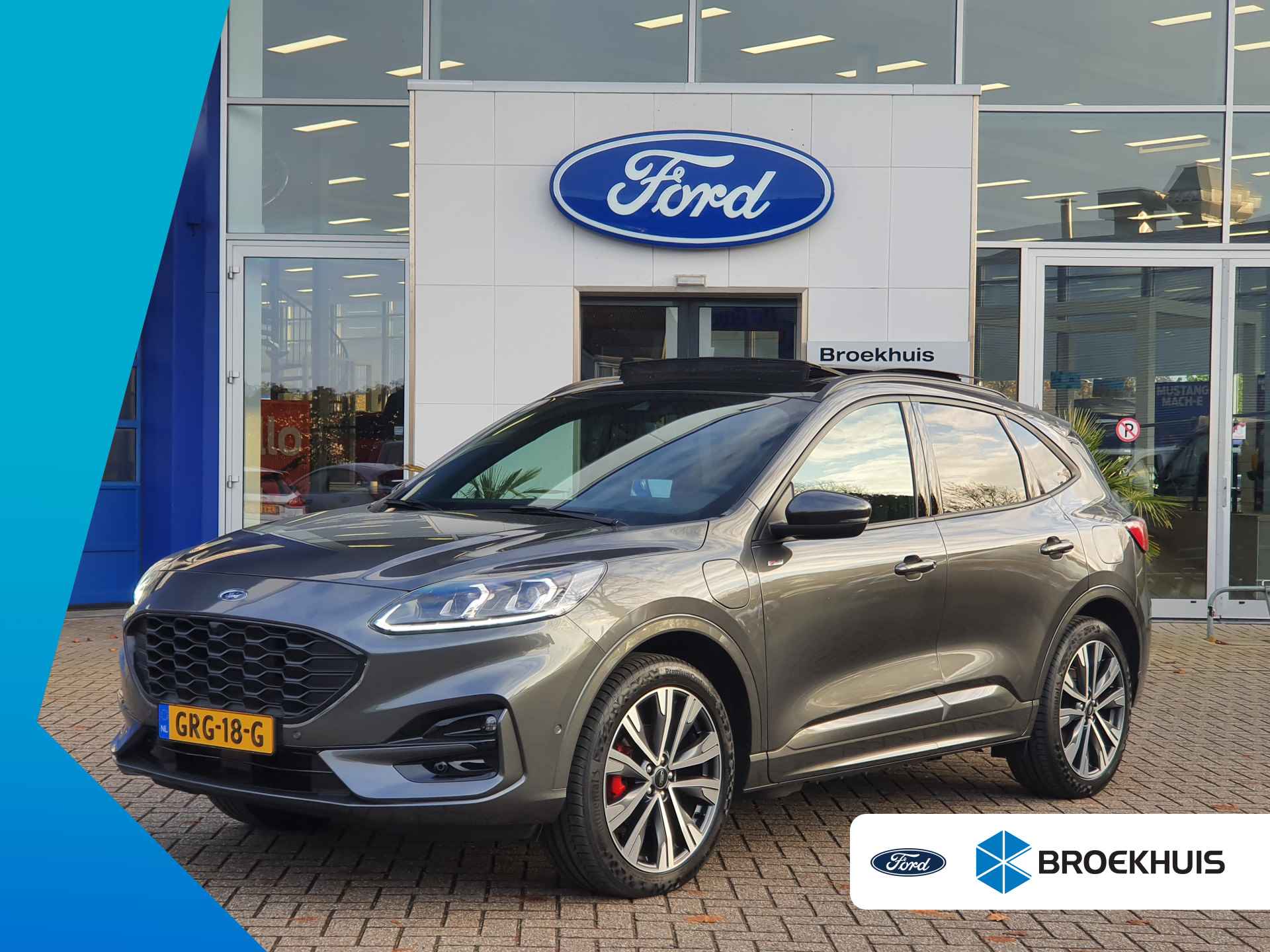 Ford Kuga BOVAG 40-Puntencheck