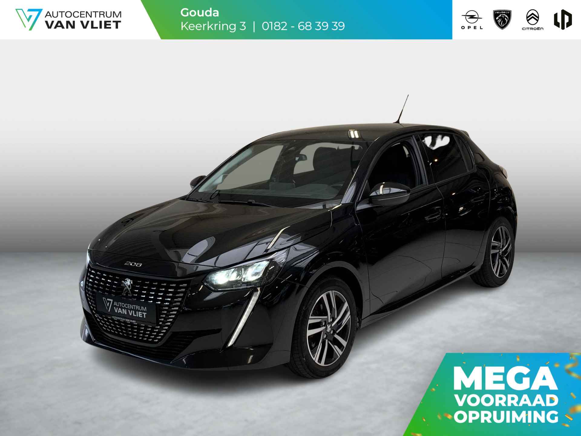 Peugeot 208 BOVAG 40-Puntencheck