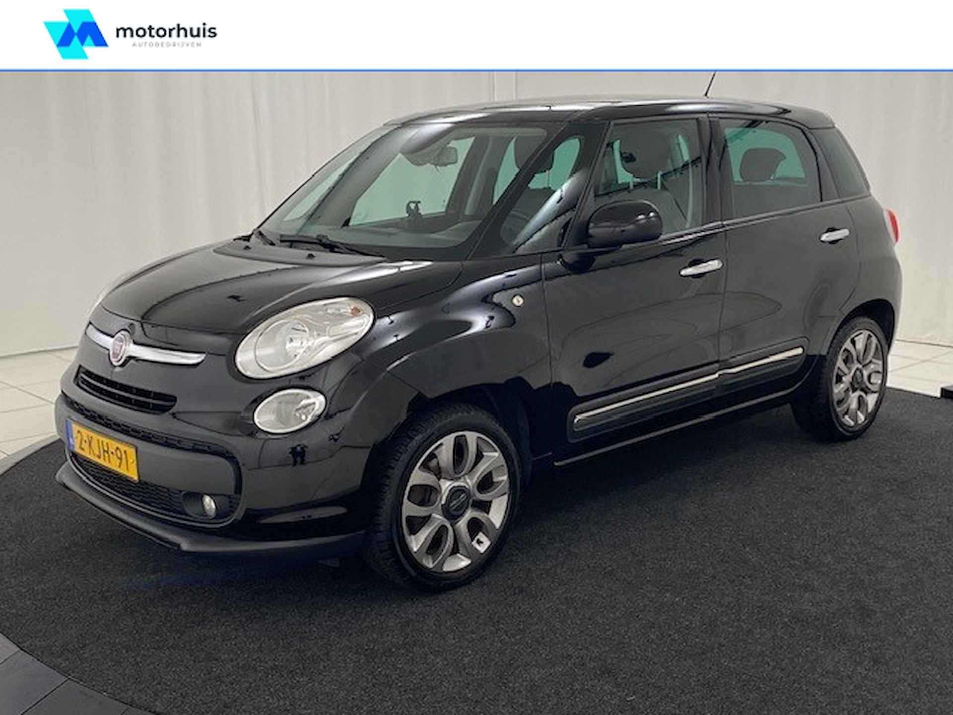 Fiat 500L BOVAG 40-Puntencheck