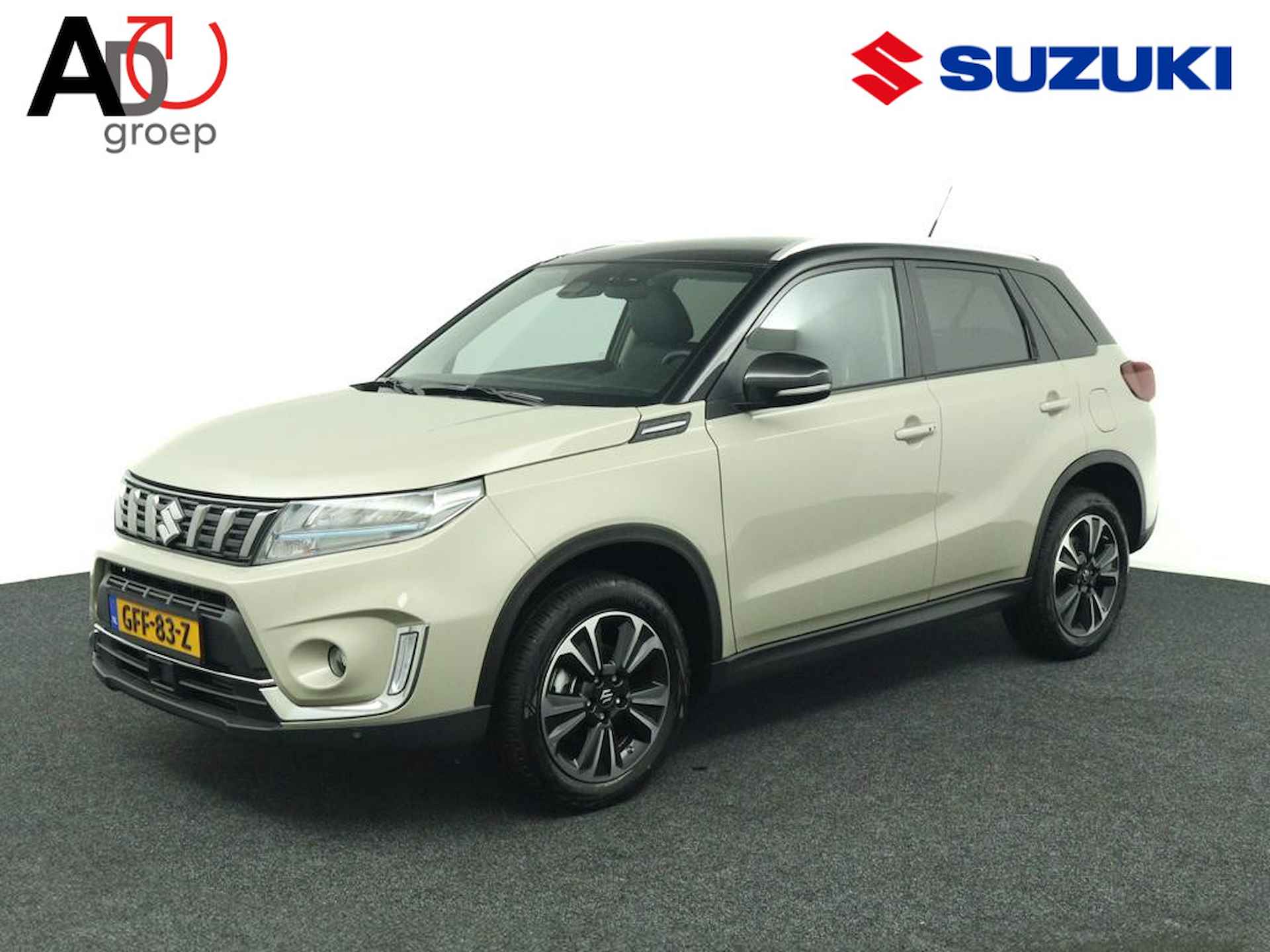 Suzuki Vitara BOVAG 40-Puntencheck