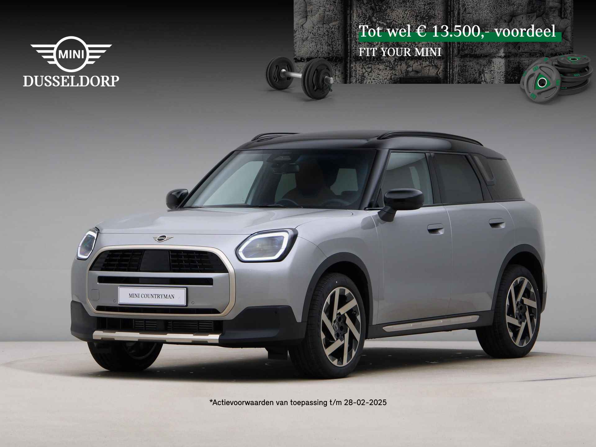 Mini Countryman