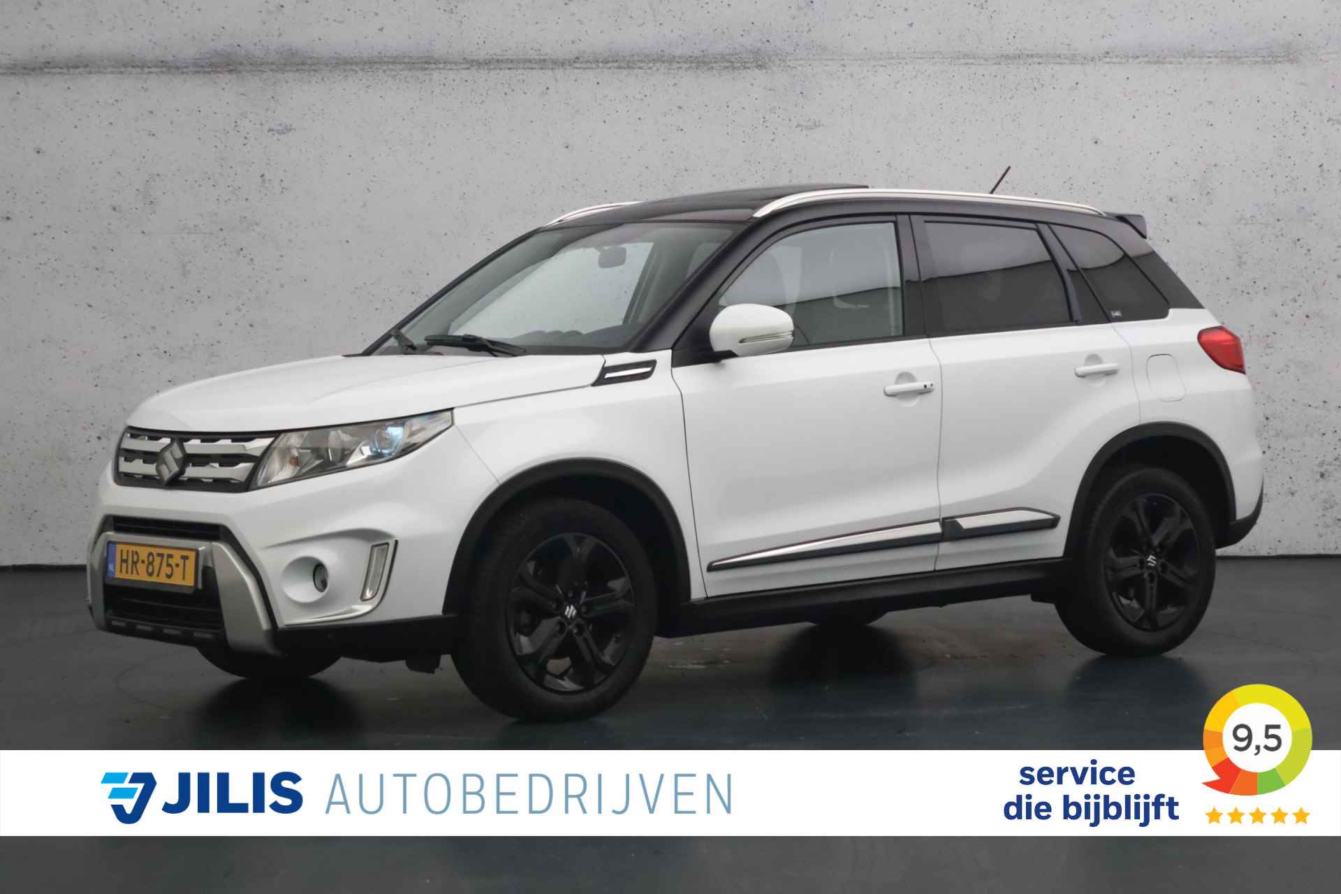 Suzuki Vitara BOVAG 40-Puntencheck