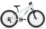 BIKE FUN The Beast 6V Heren Sea Grass 2024