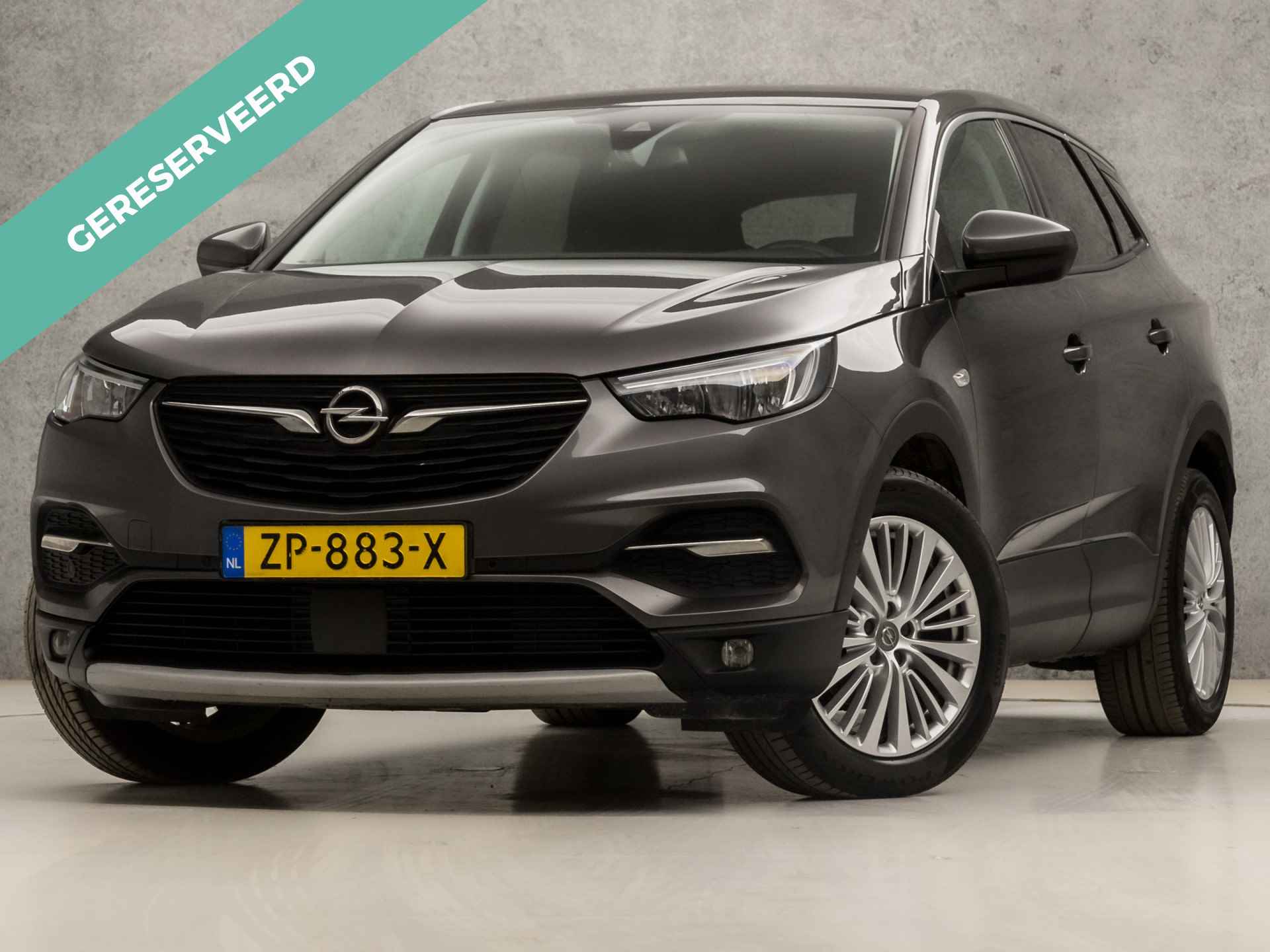 Opel Grandland X BOVAG 40-Puntencheck