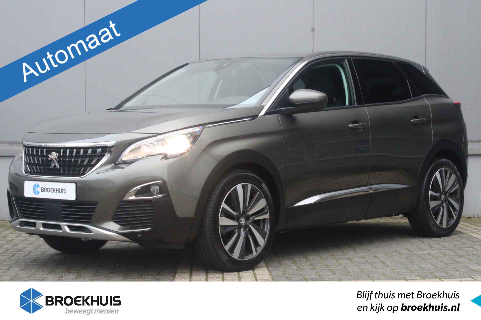 Peugeot 3008 BOVAG 40-Puntencheck