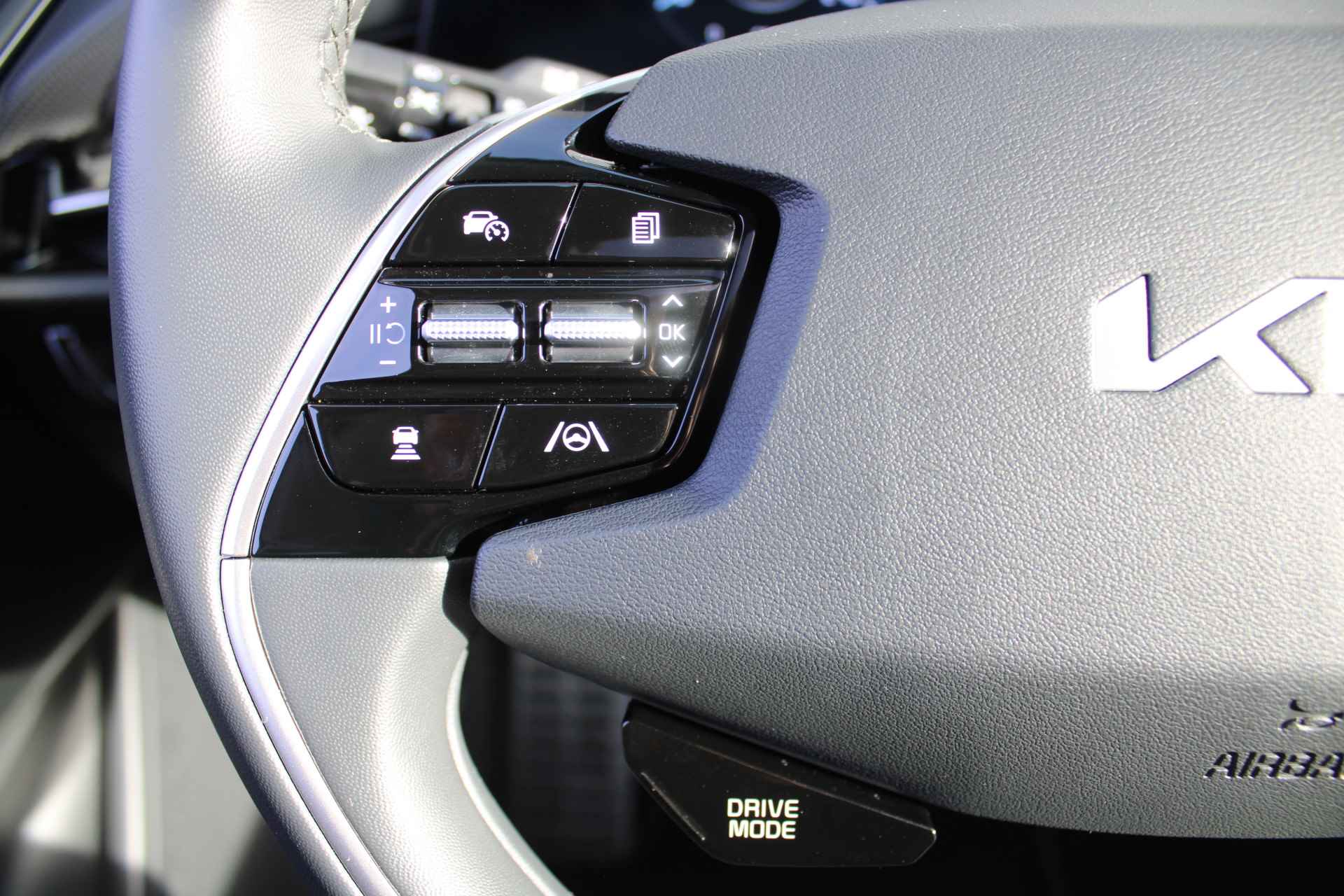 Kia Niro EV ExecutiveLine 64.8 kWh | Airco | Navi | Cruise | 17" LM | Camera | Leer | Keyless | BTW auto | - 13/43