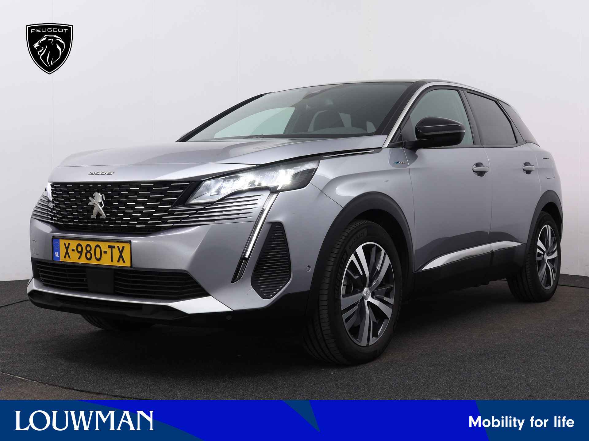 Peugeot 3008 BOVAG 40-Puntencheck