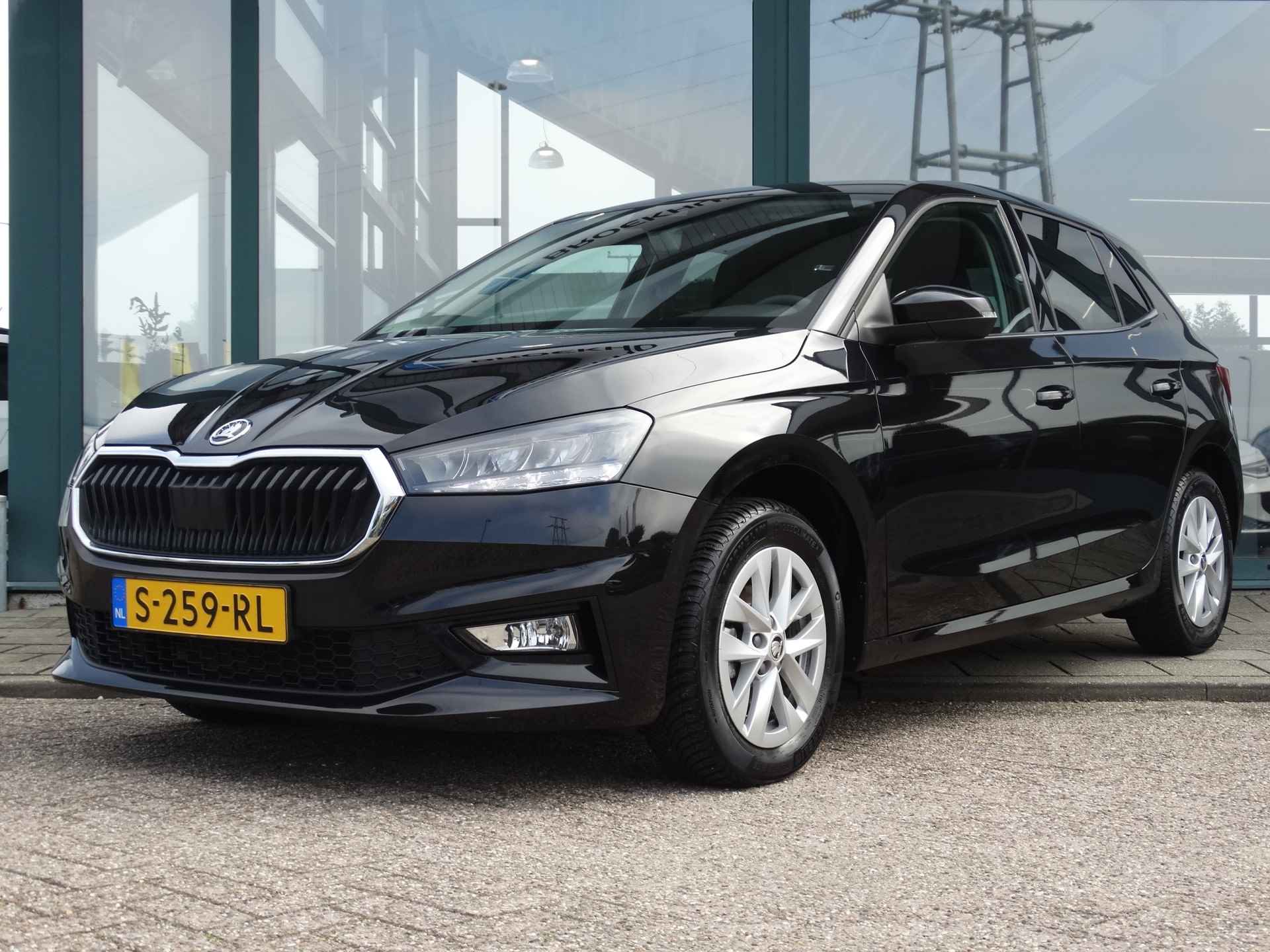 Škoda Fabia BOVAG 40-Puntencheck