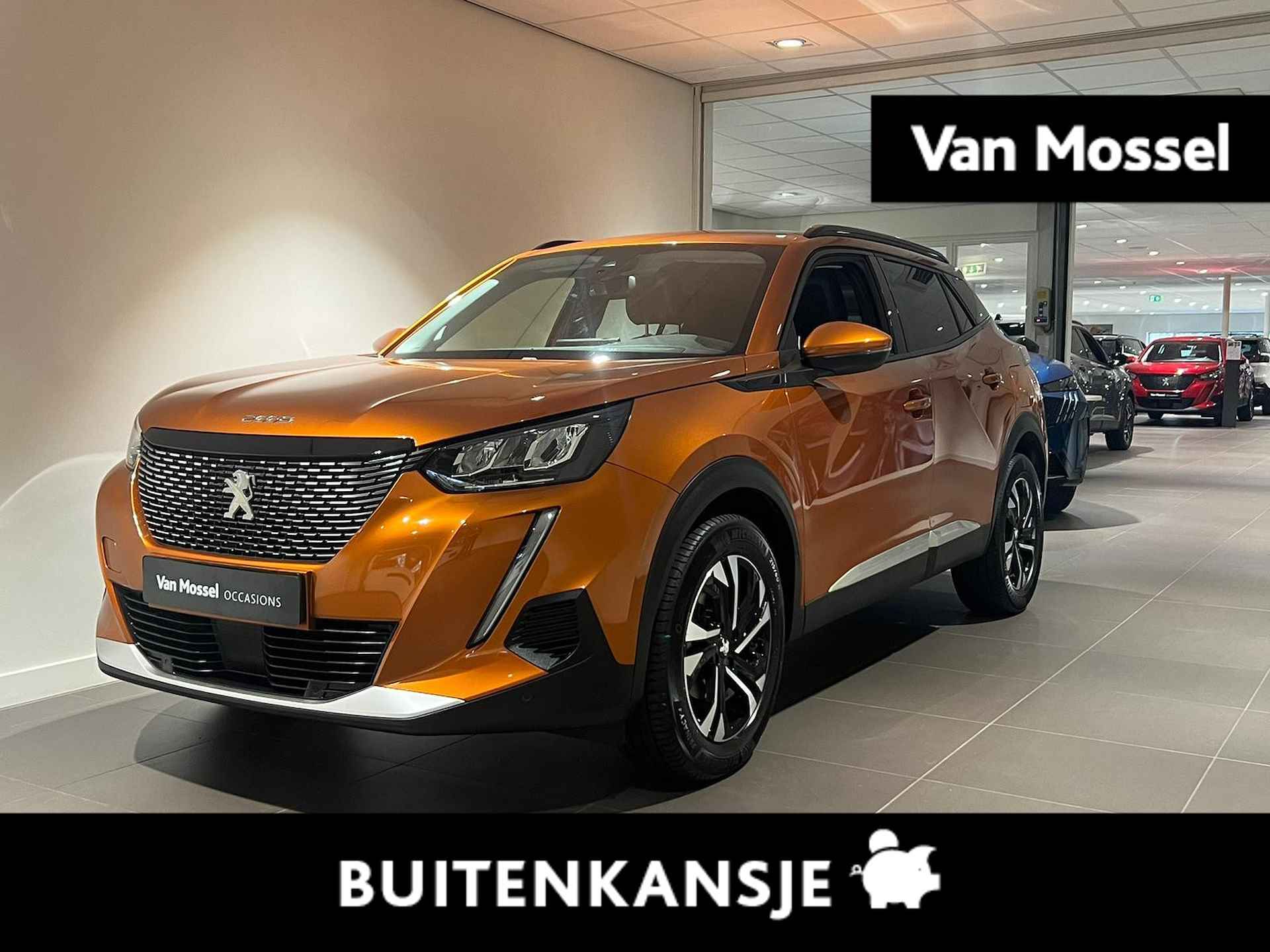 Peugeot 2008 BOVAG 40-Puntencheck