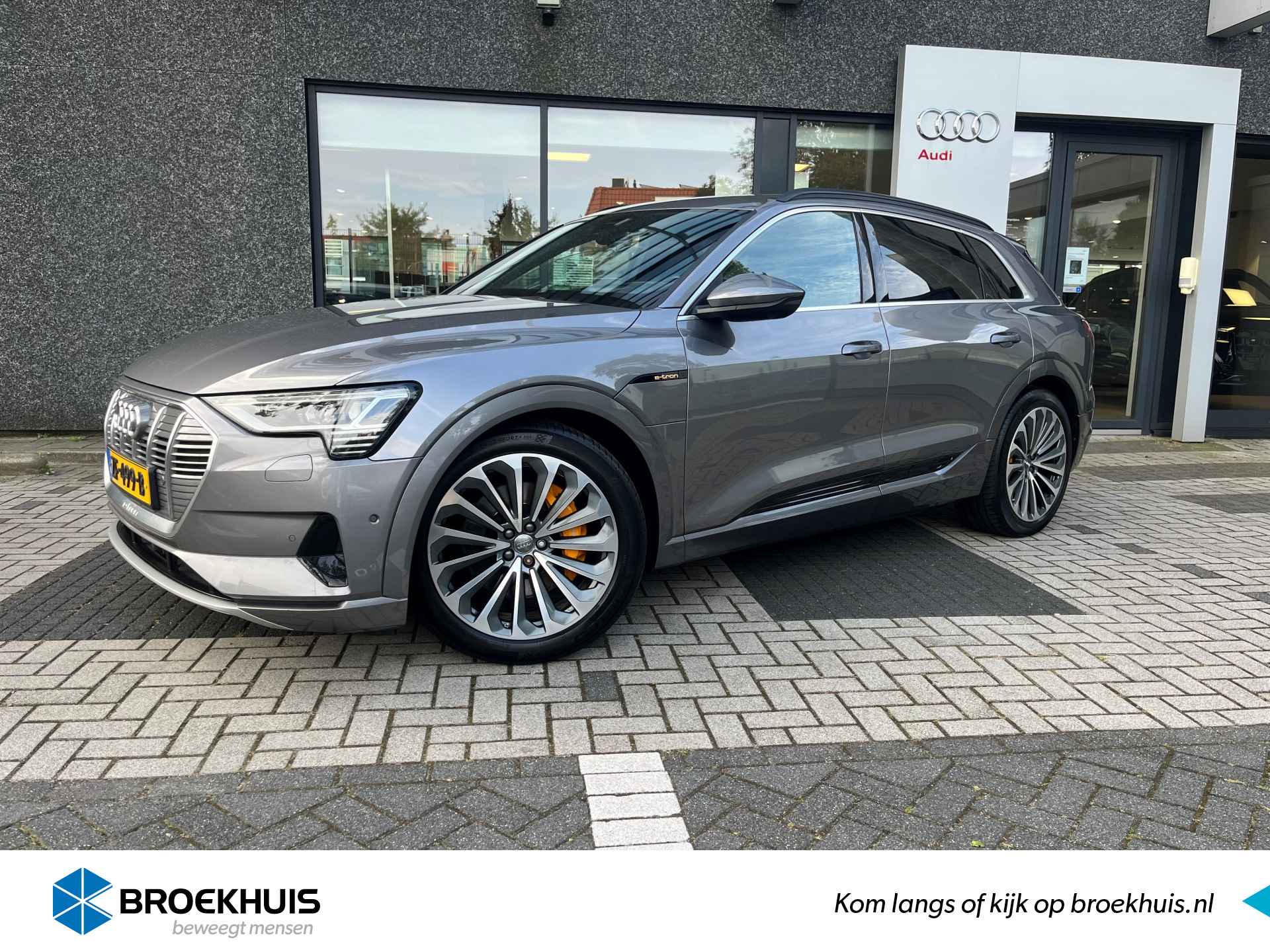 Audi e-tron BOVAG 40-Puntencheck