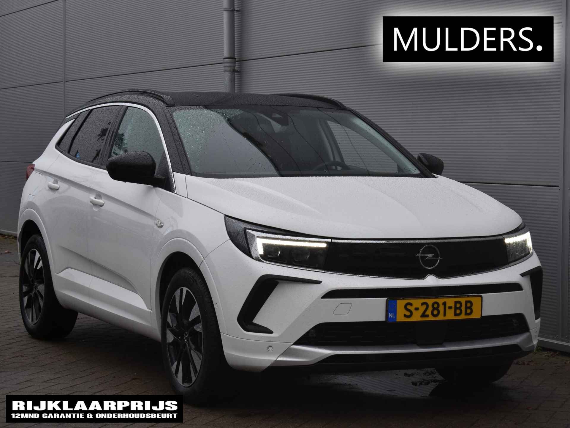 Opel Grandland X BOVAG 40-Puntencheck