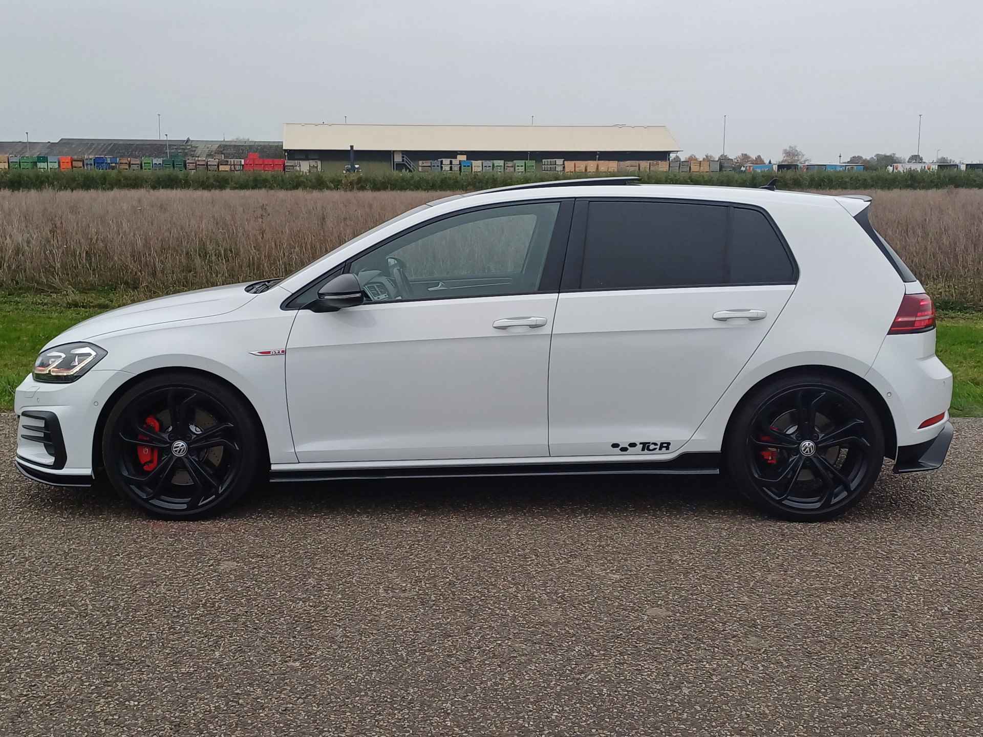 Volkswagen Golf 2.0 TSI GTI TCR | Pano dak | LED | Carplay | Digi Dash | Navi | Dynaudio | 290PK - 10/66