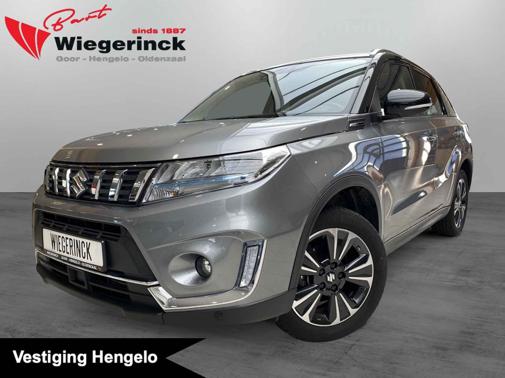 Suzuki Vitara BOVAG 40-Puntencheck