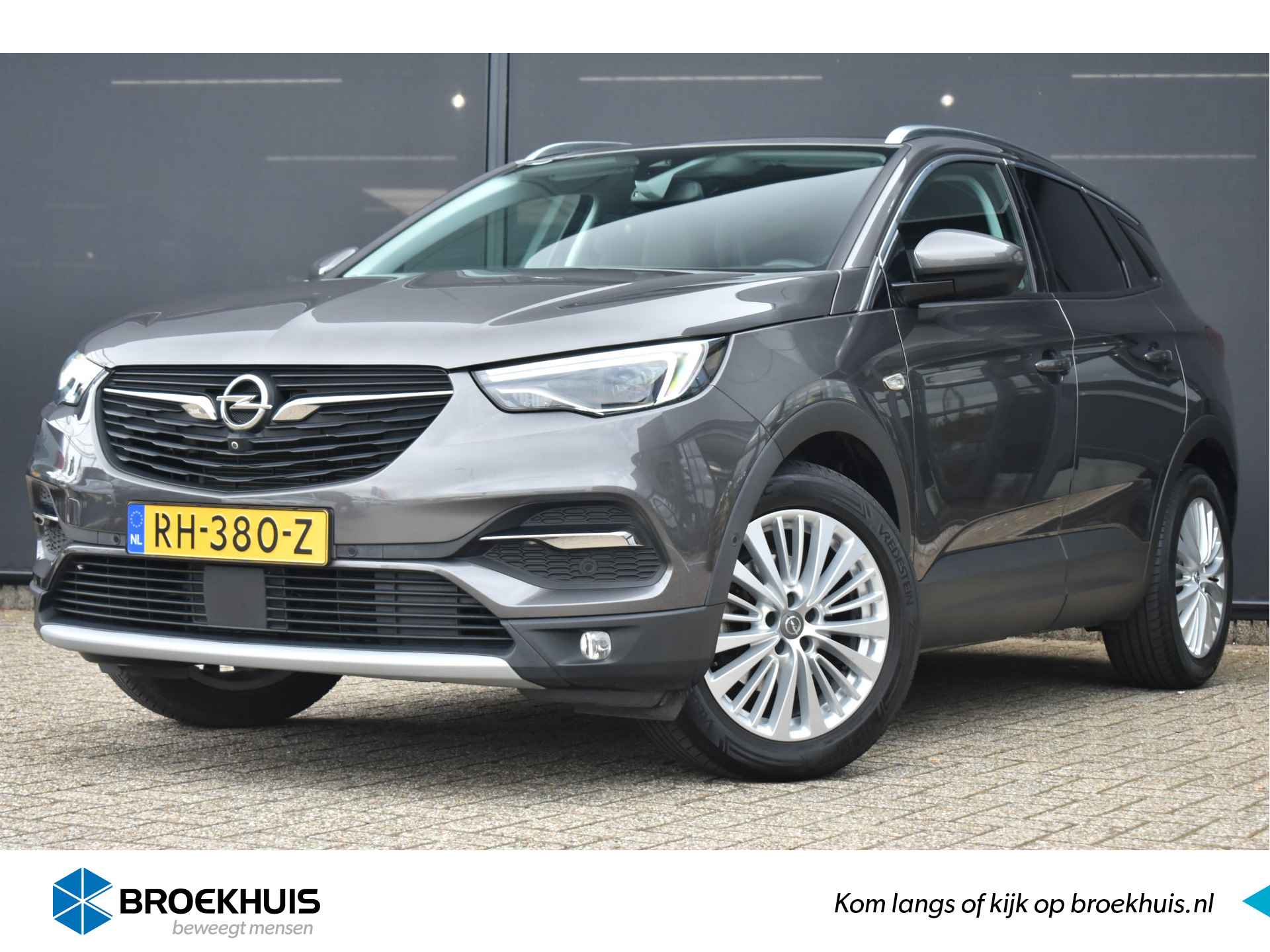 Opel Grandland X BOVAG 40-Puntencheck