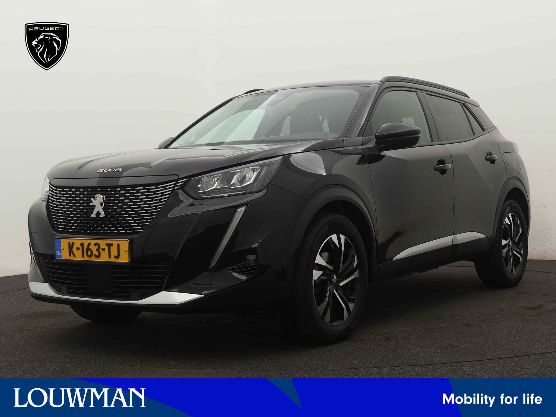 Peugeot 2008 BOVAG 40-Puntencheck