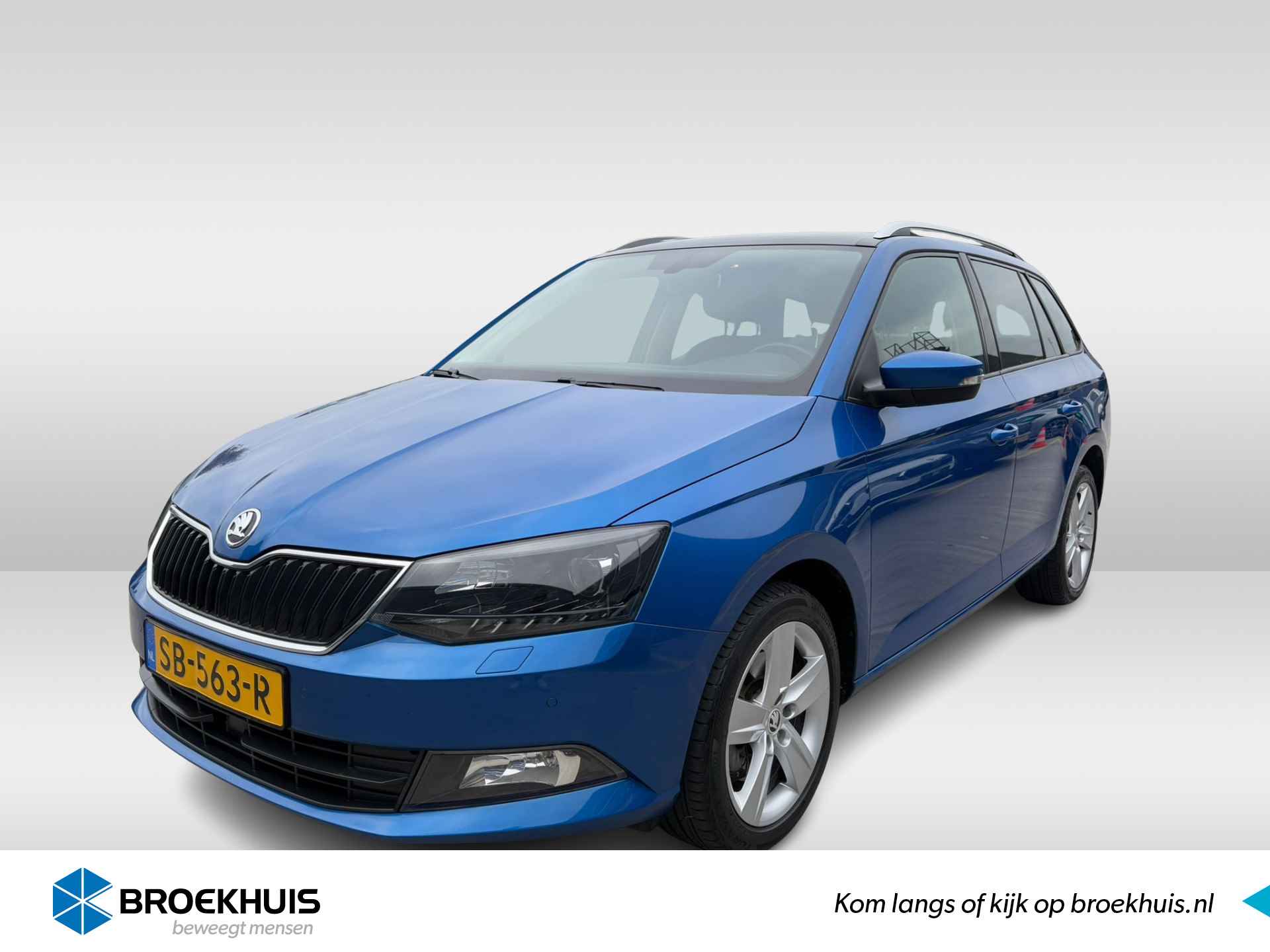 Škoda Fabia BOVAG 40-Puntencheck