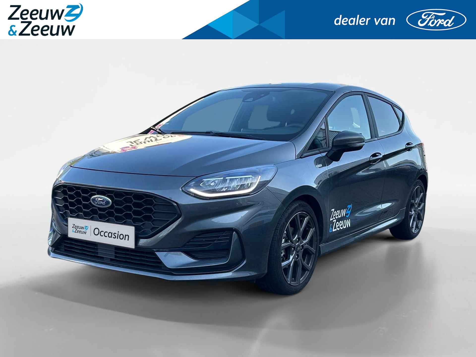 Ford Fiesta BOVAG 40-Puntencheck