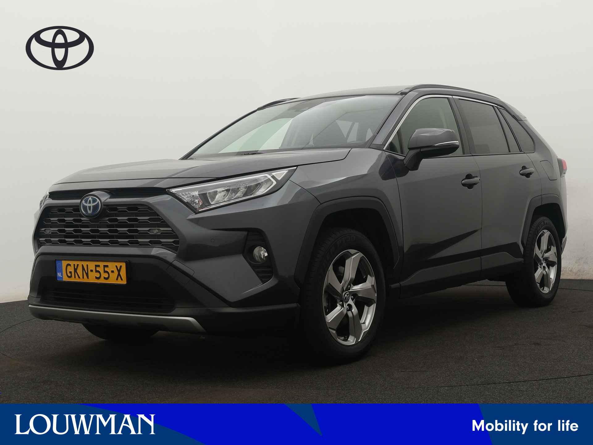 Toyota RAV4 BOVAG 40-Puntencheck