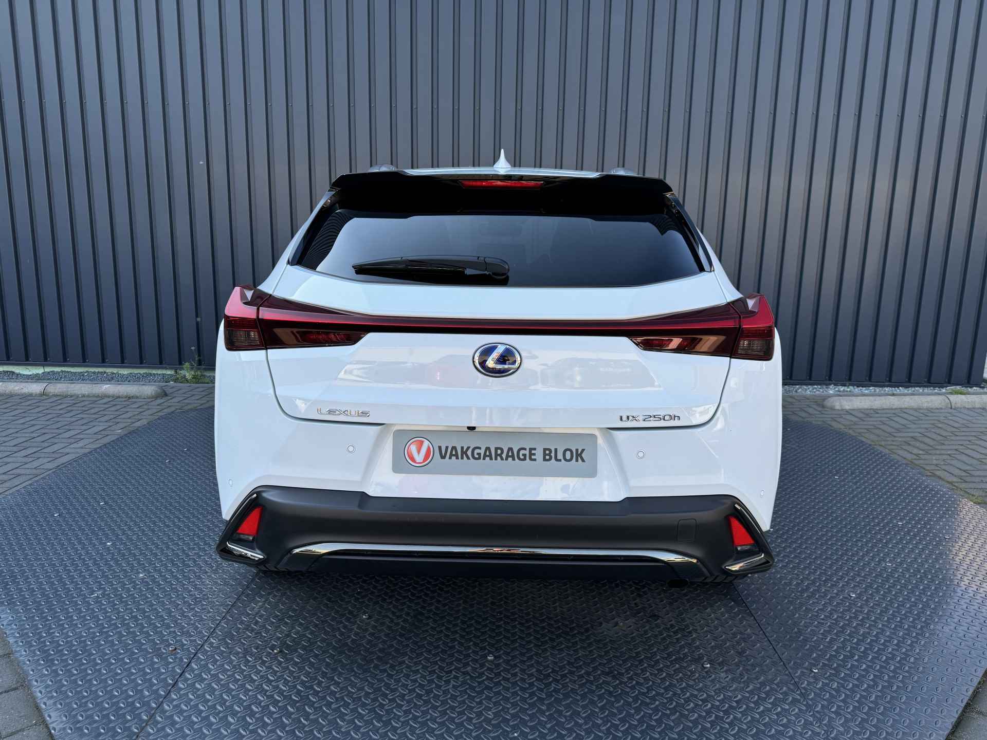 Lexus UX 250h F Sport | Schuif-/kantel dak | Afnm. Trekhaak | Head-up | BSM | Rijklaar!! - 12/43