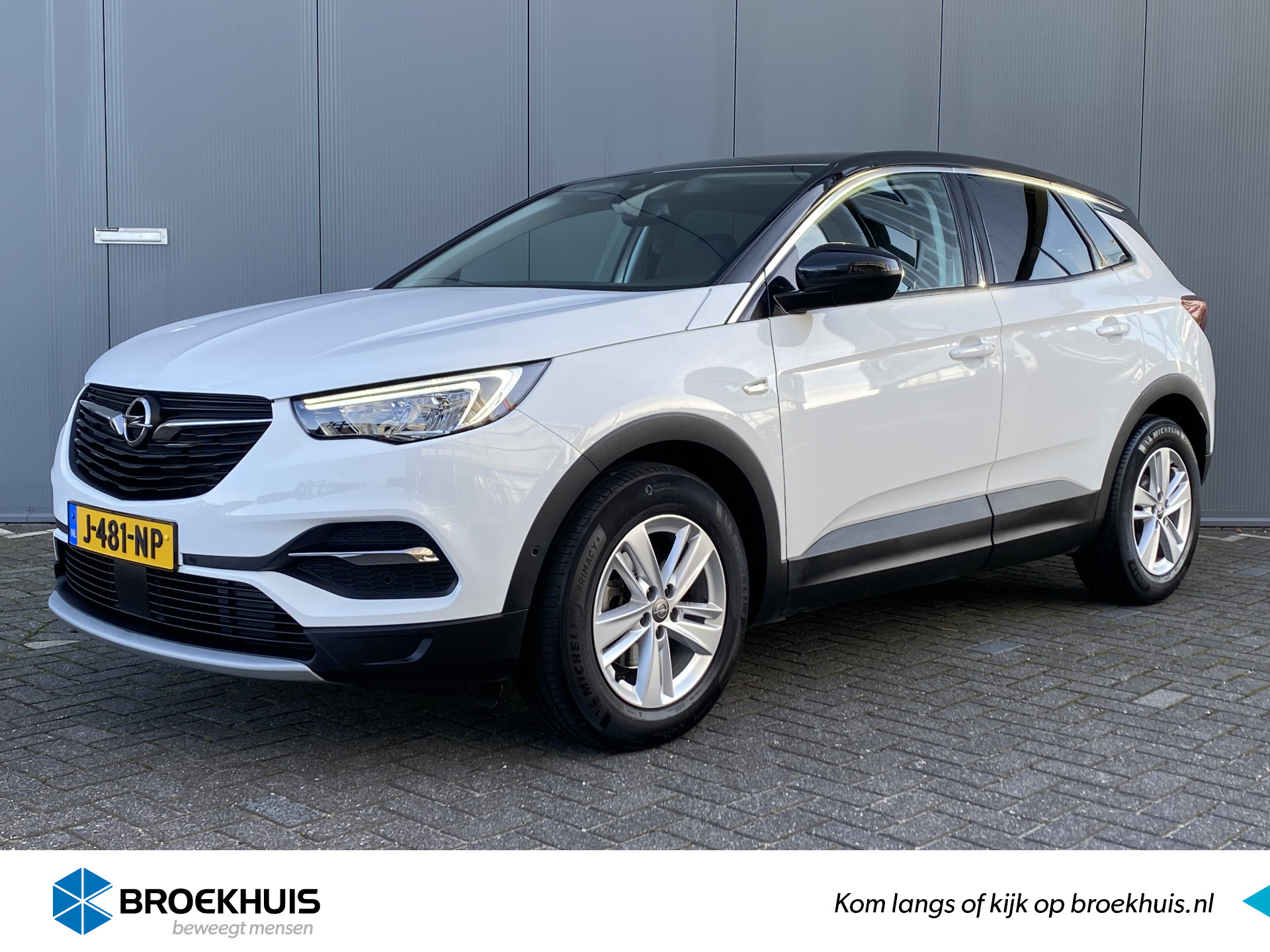 Opel Grandland X 1.2 Turbo 130pk Business Executive | Leder | Carplay | Camera | Climate | Keyless | Navigatie | Elek. Klep | Afn. Trekhaak | Dod