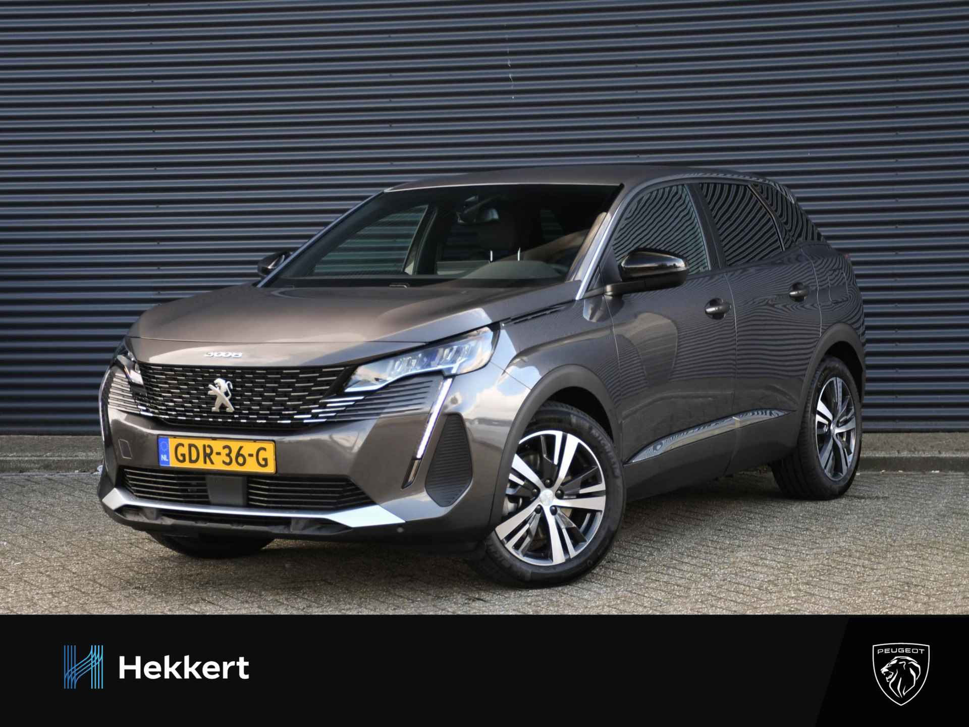 Peugeot 3008 BOVAG 40-Puntencheck